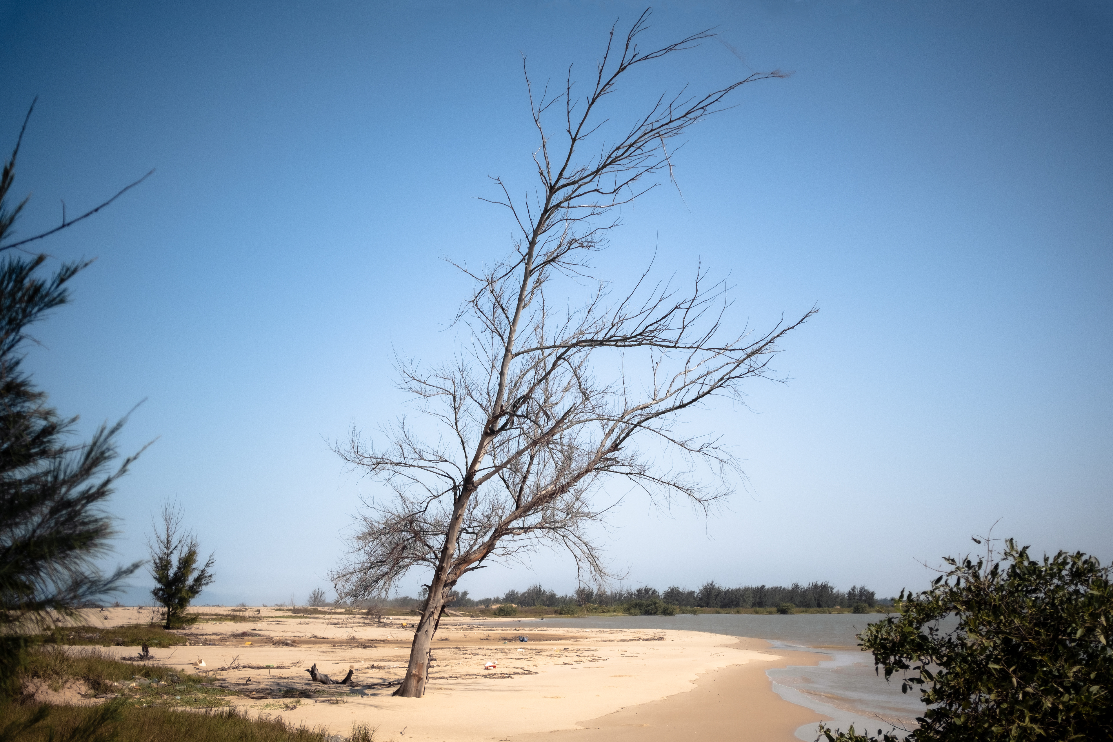 Doun Baba Dieye - Sénégal