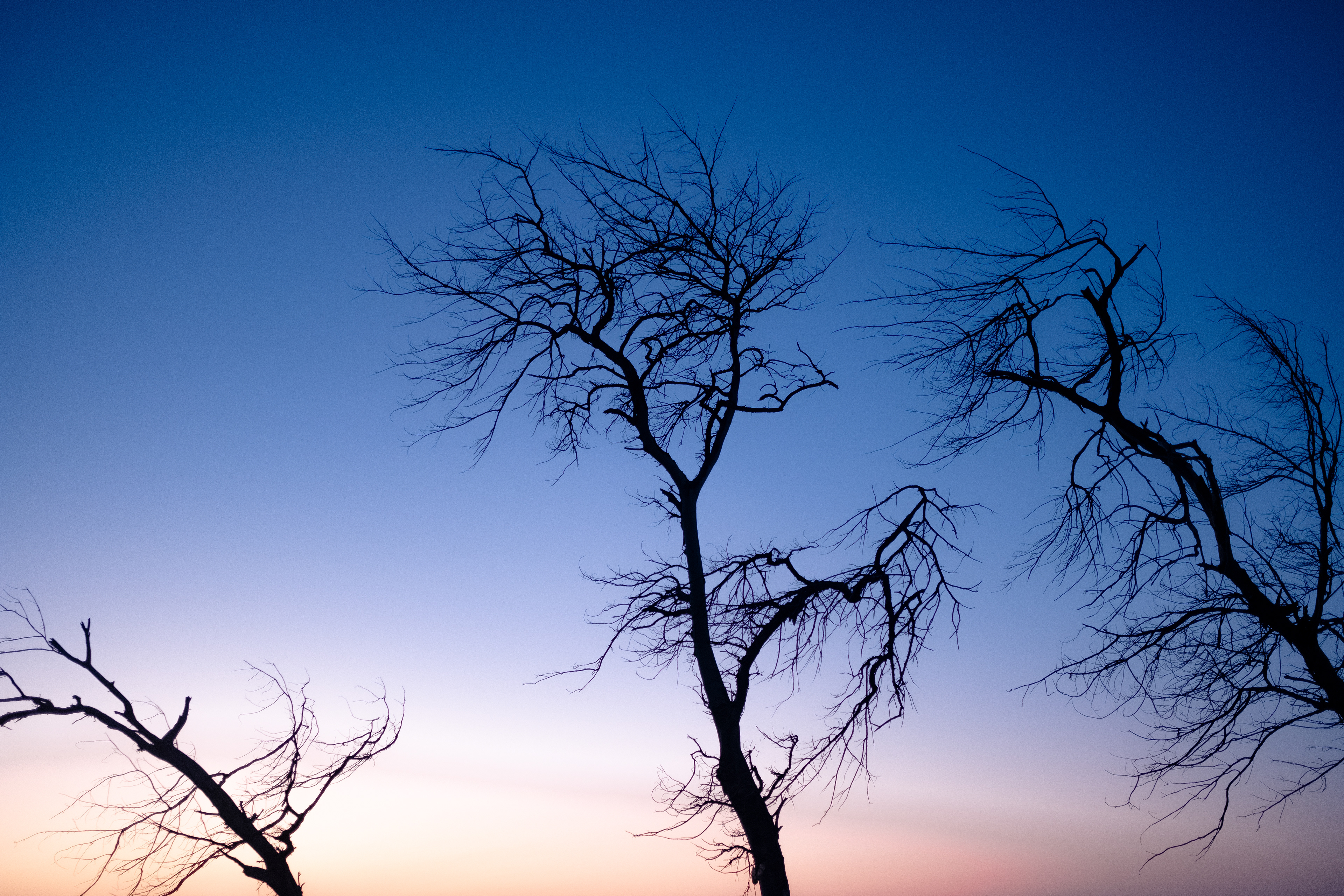 Saint-Louis - Sénégal