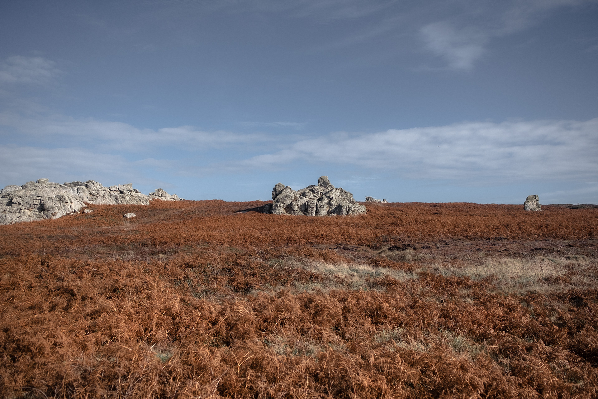 Dans la lande - Ouessant