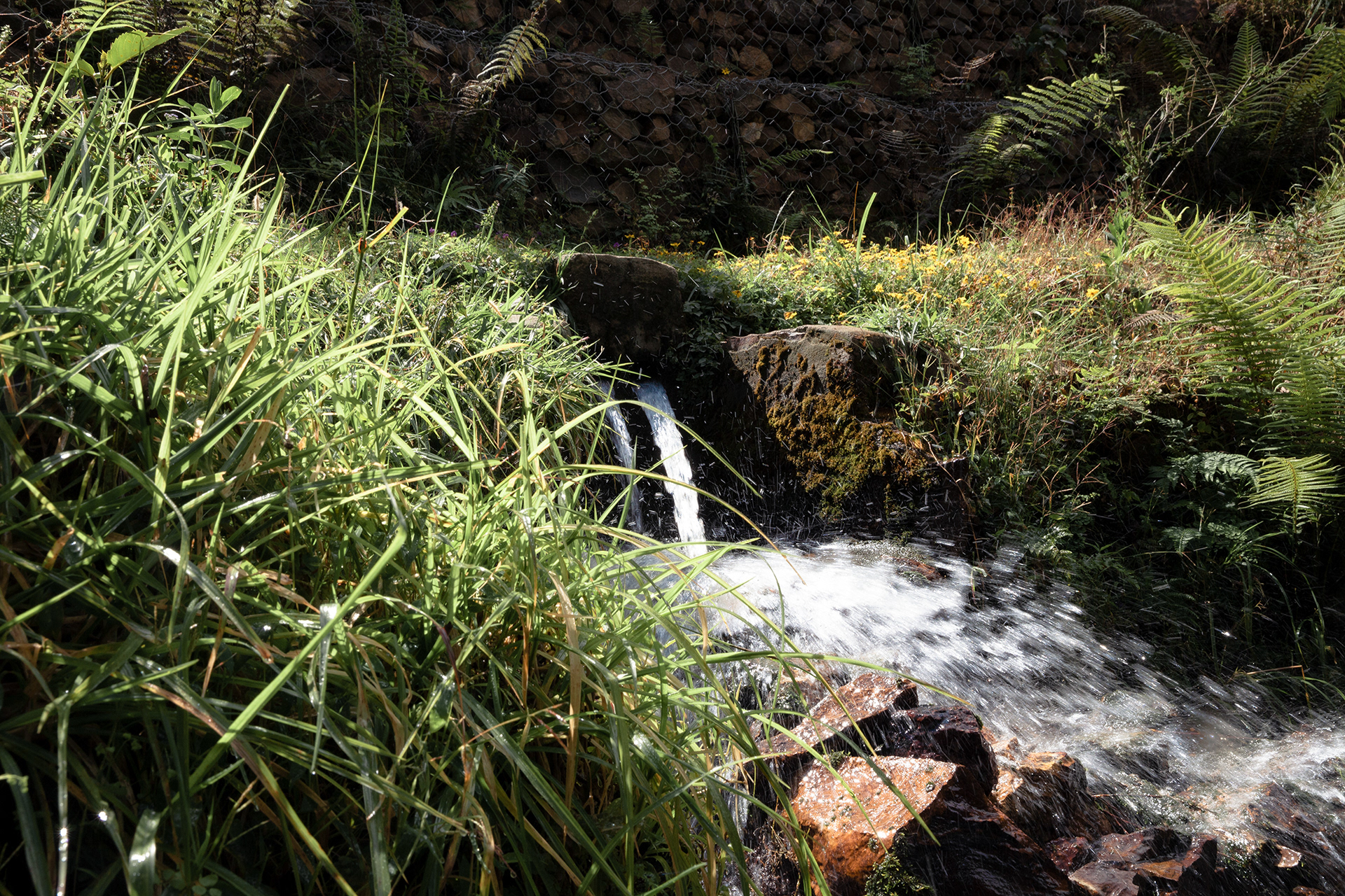 Source d'eau jaillissante suite à son aménagement - Ethiopie