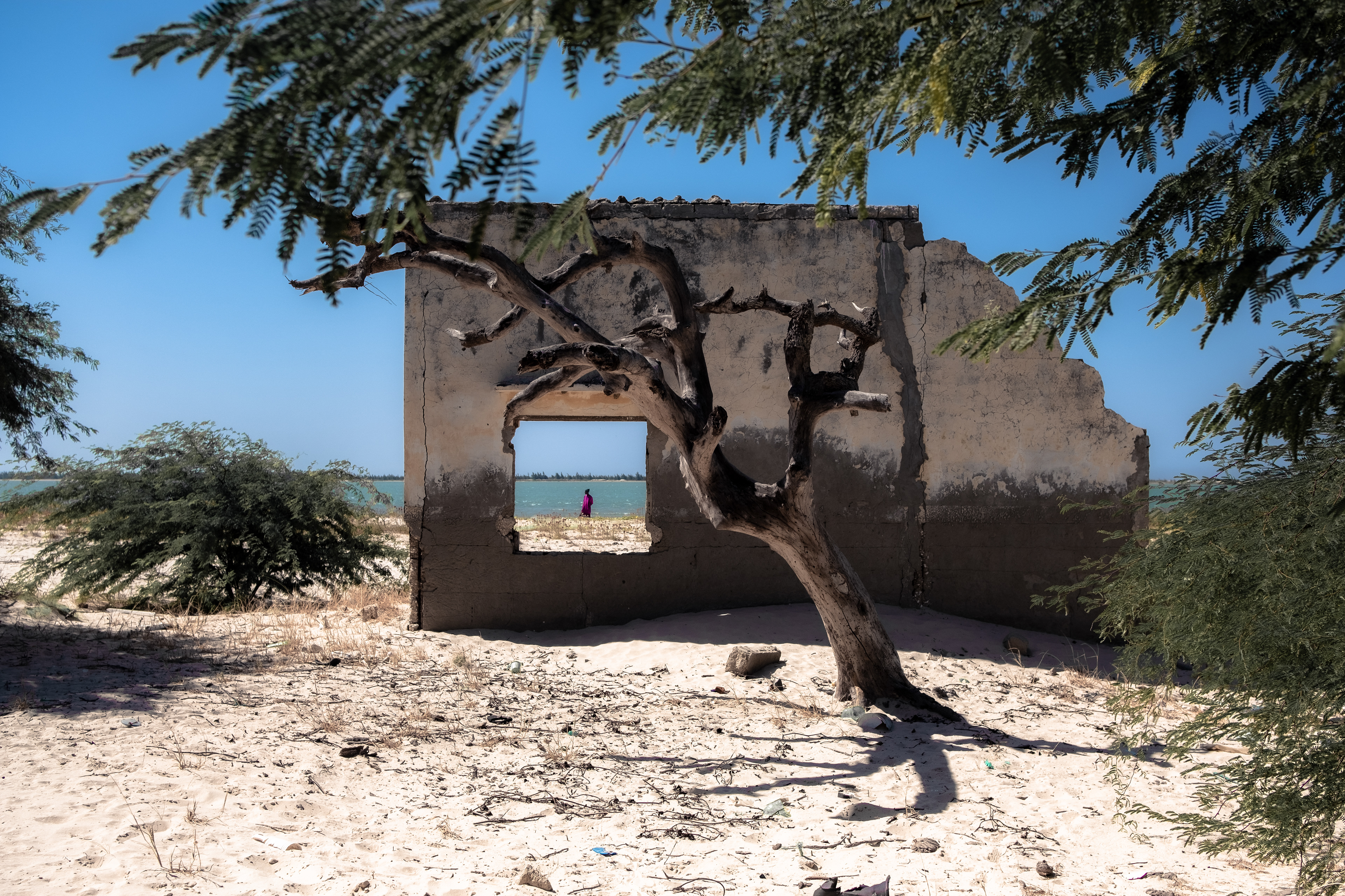 Doun Baba Dieye - Sénégal