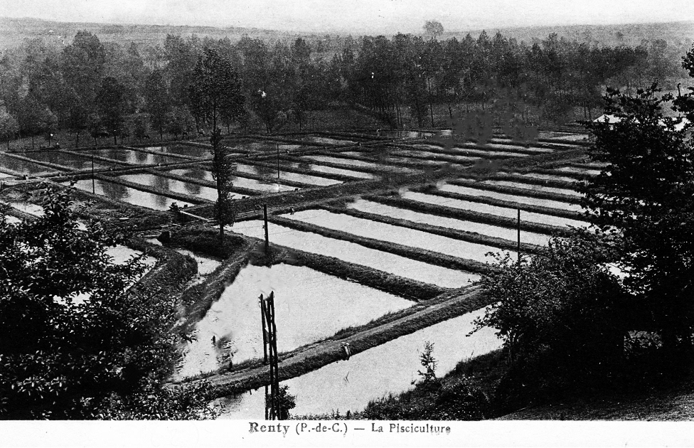 Renty - pisciculture
