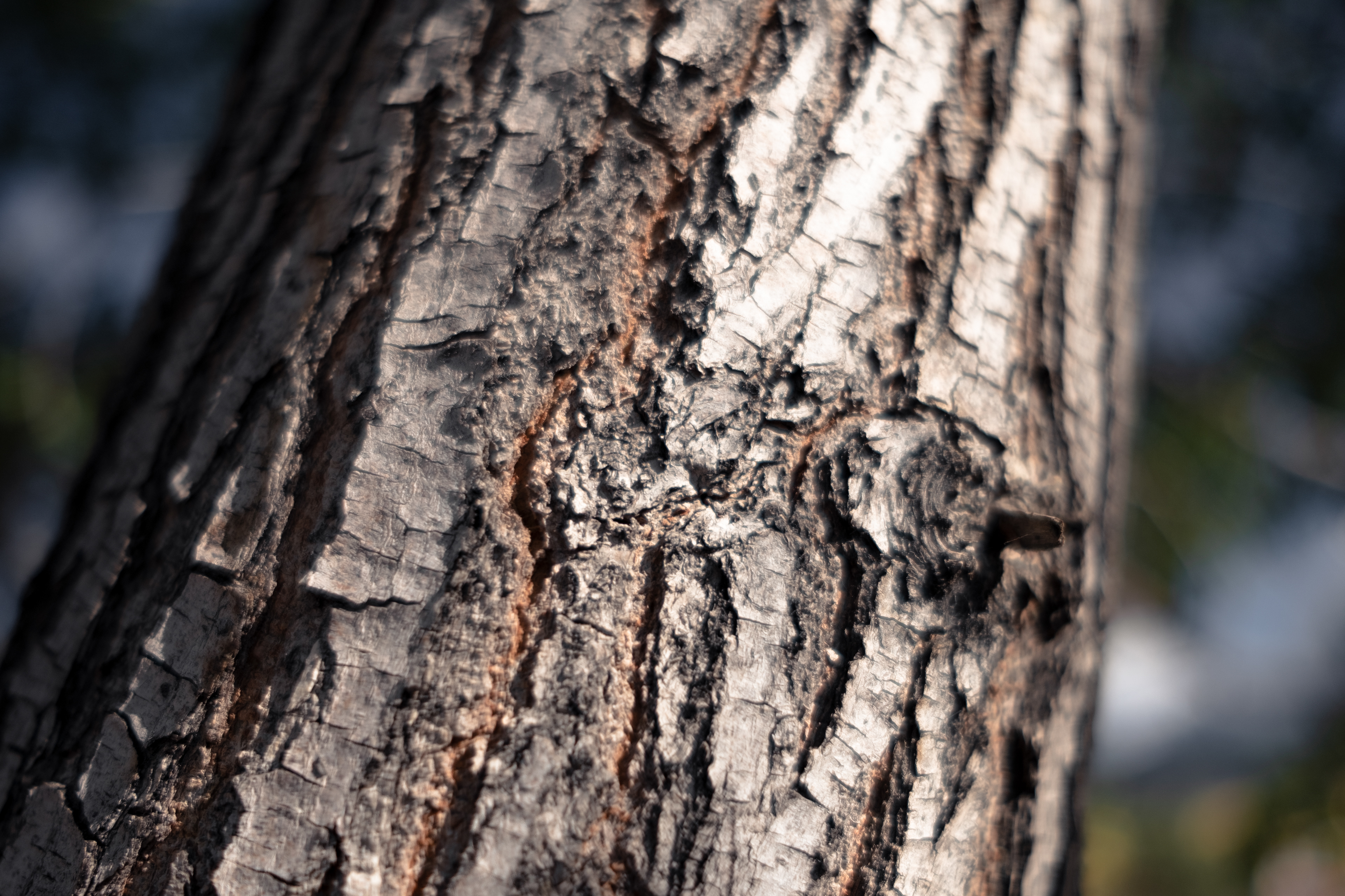 Lac Issyk Kul - Khirghizstan