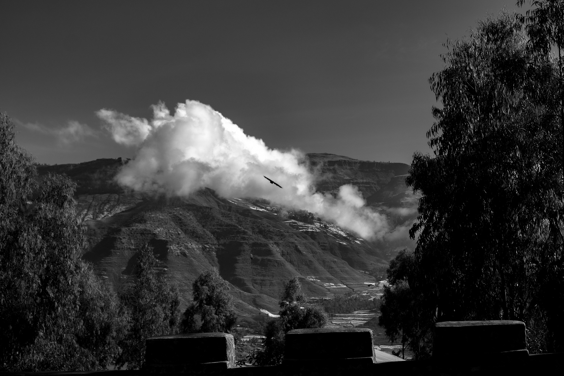 Le rapace de Lalibela