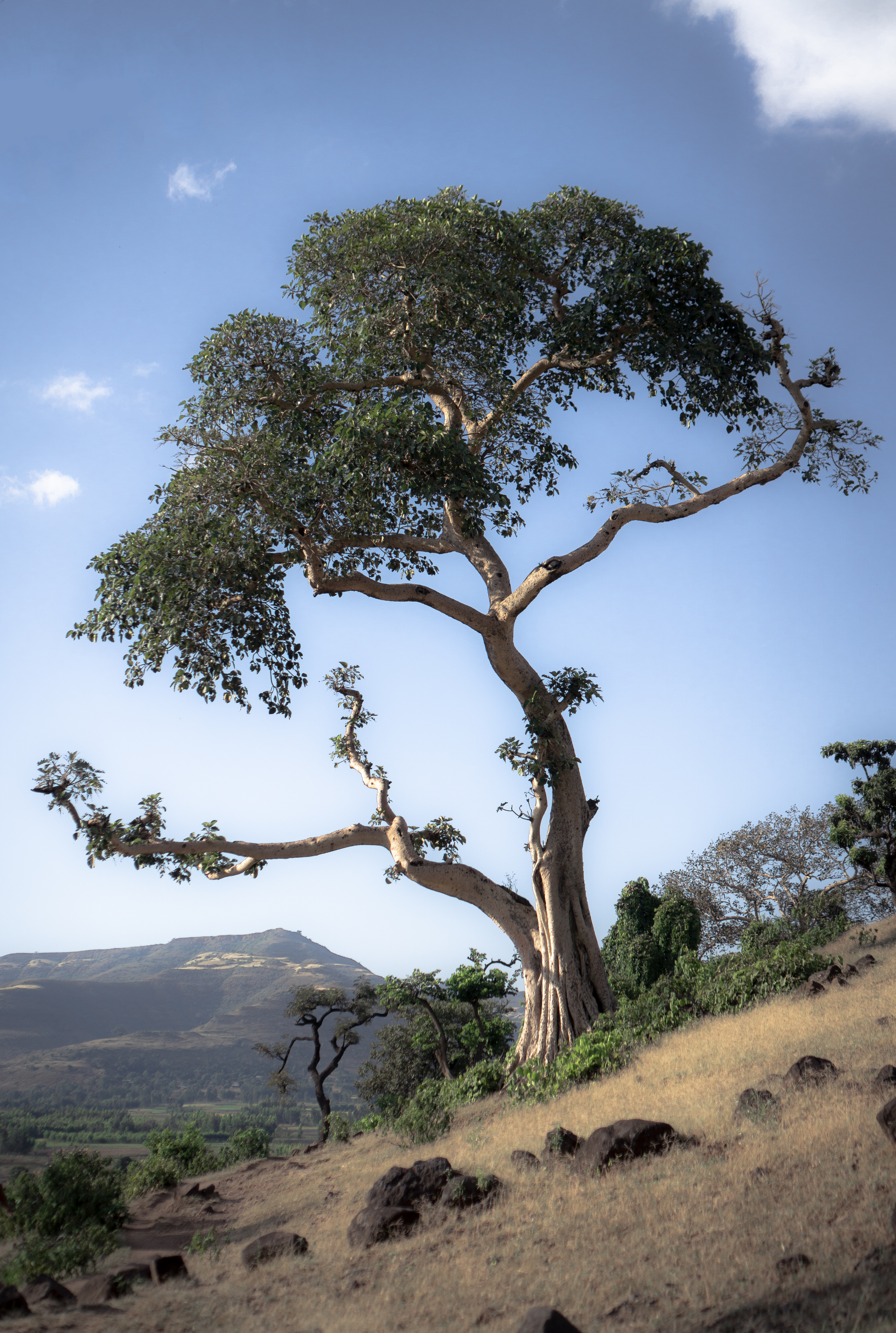 Sur les rives du Nil Bleu - Ethiopie