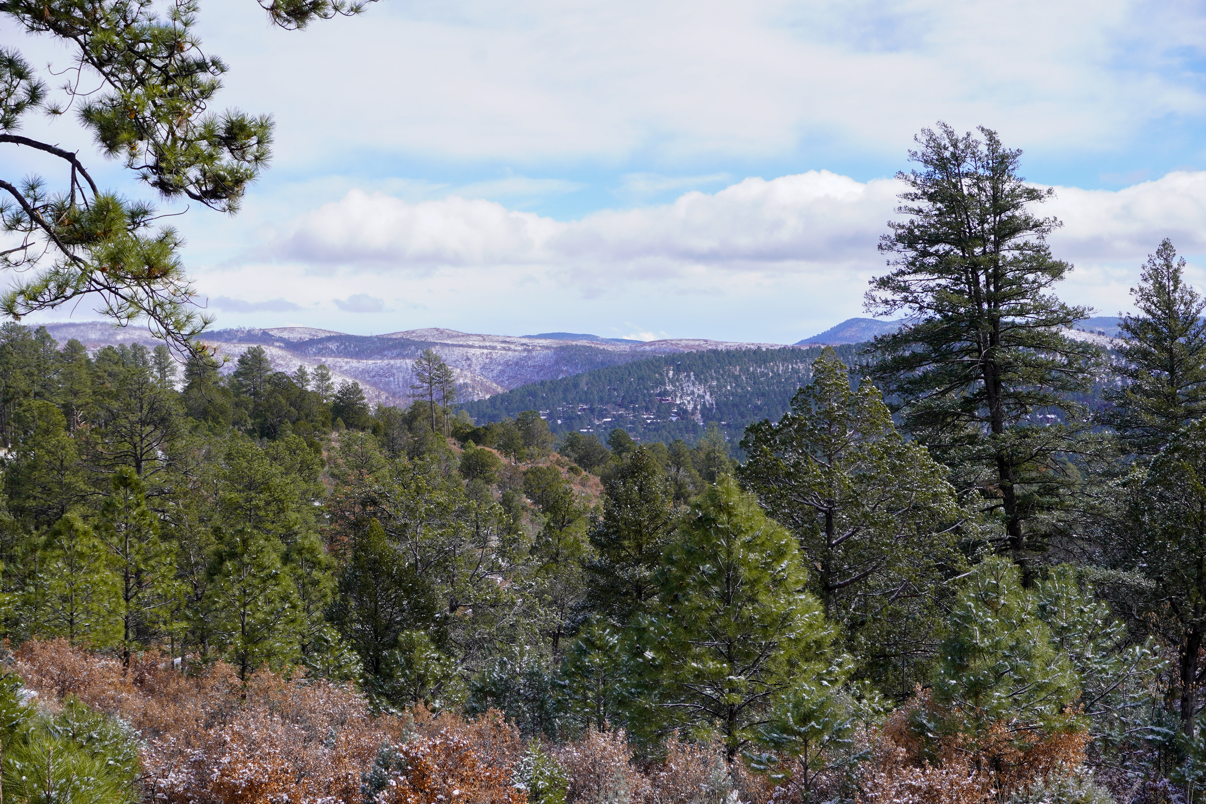 Ruidoso, NM