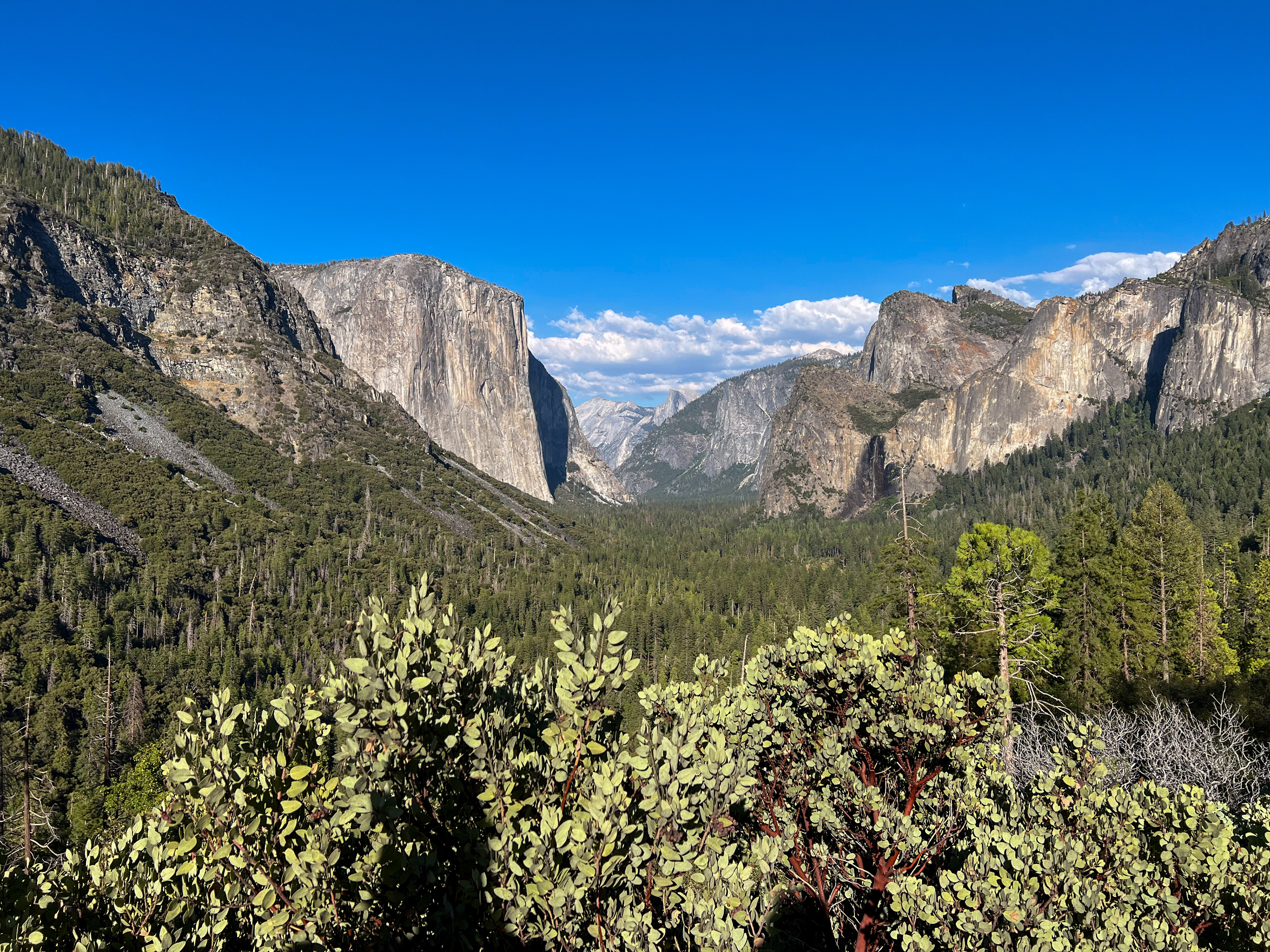 Tunnel View