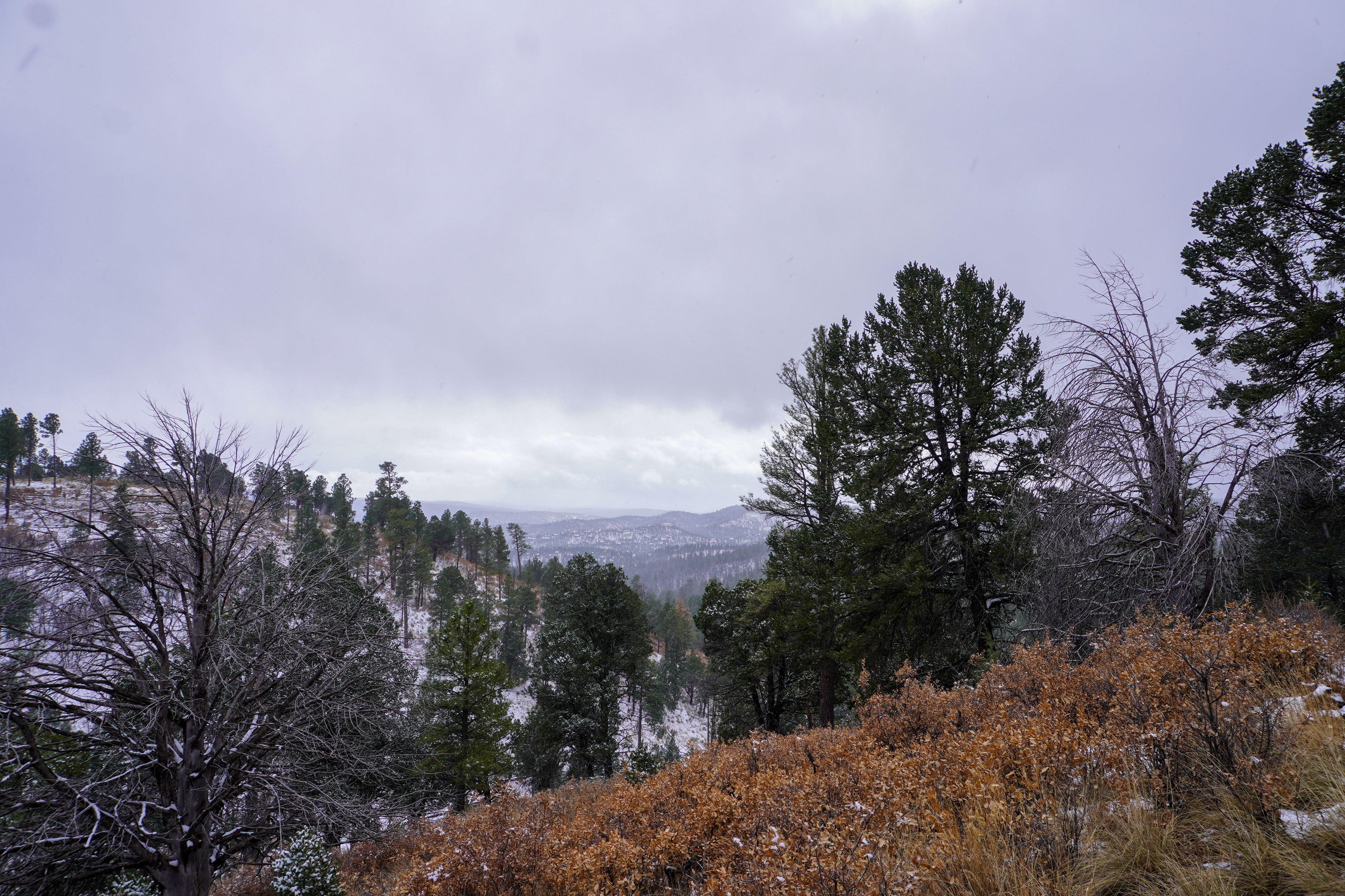 Ruidoso, NM
