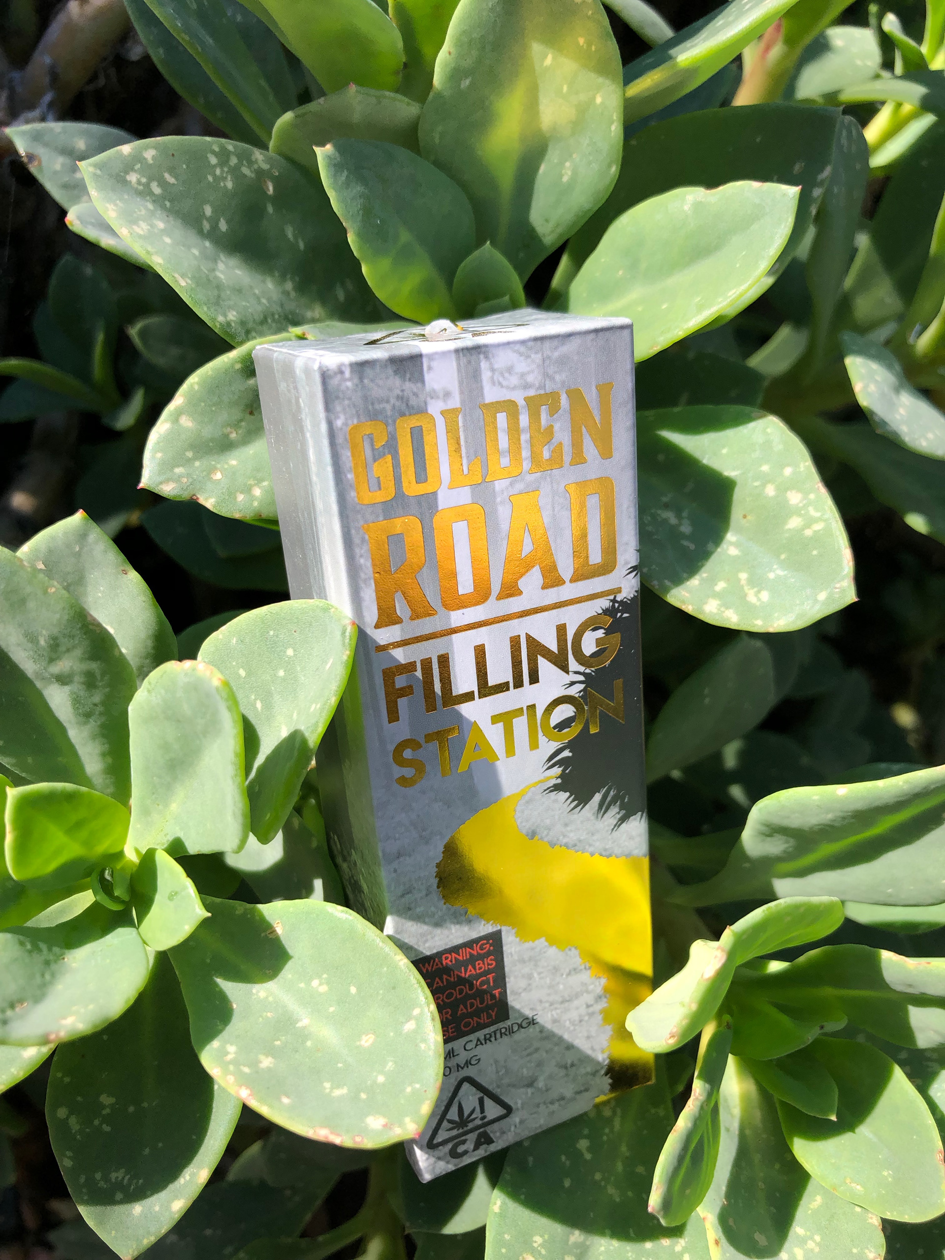 Golden Road Filling Station | package prototype | 2018
