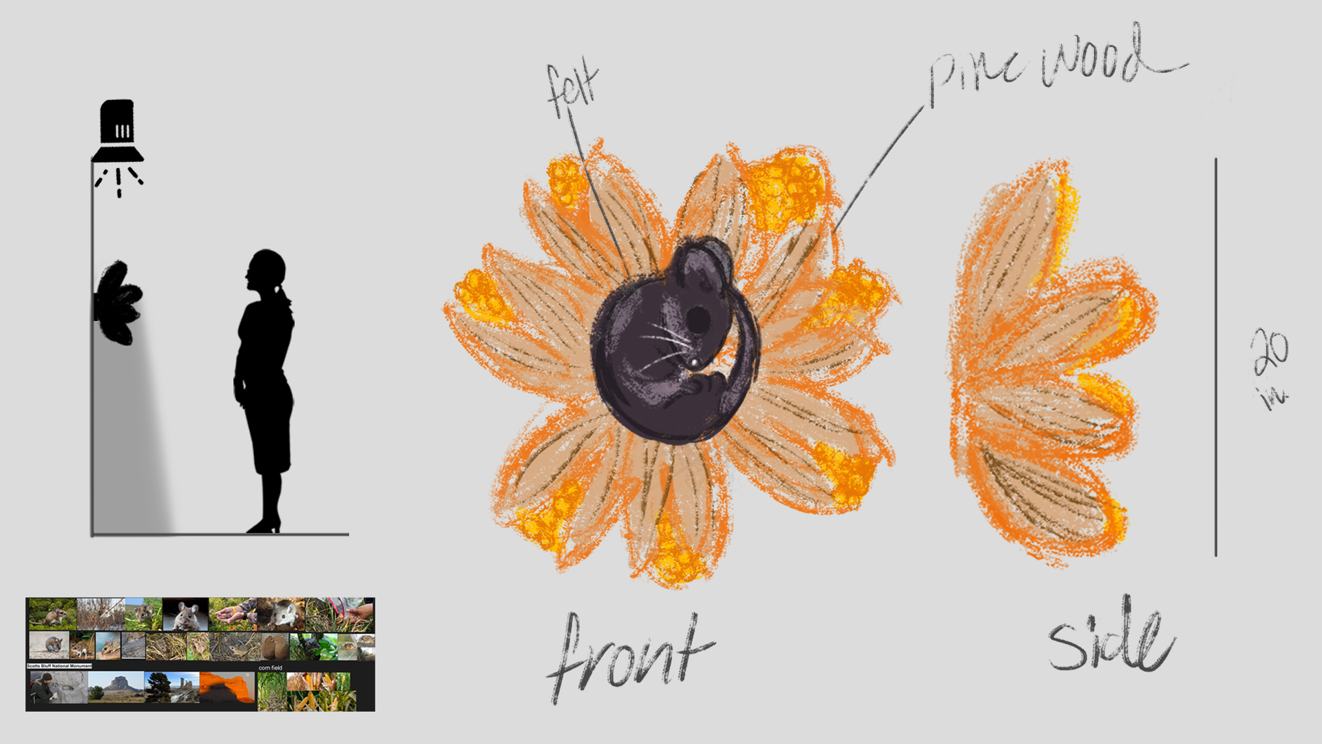 Corn Husker Concept