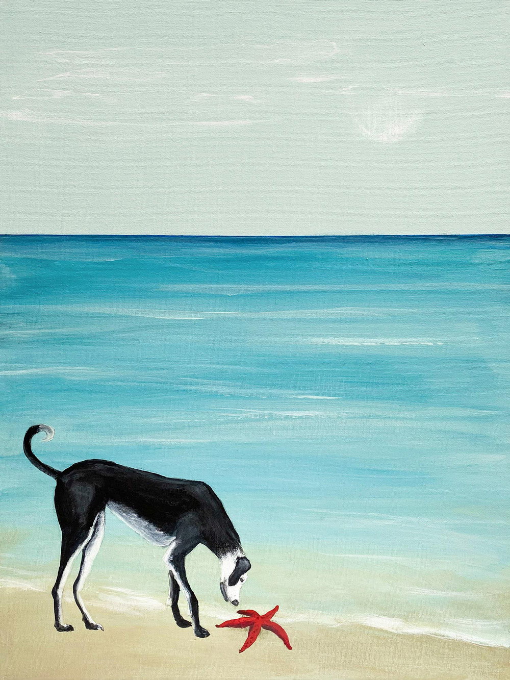 The Galgo and the Starfish