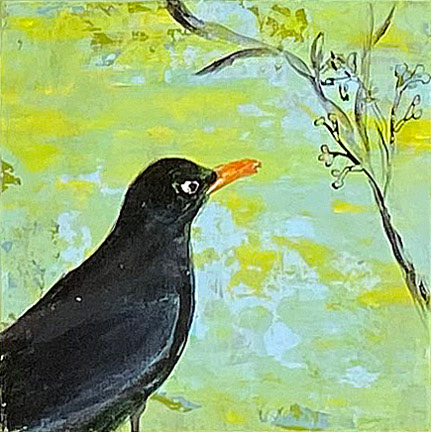 Little Blackbird