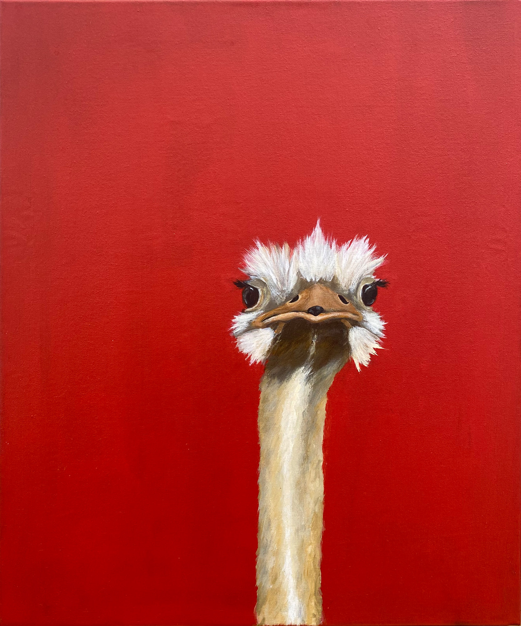 Hey there! 60 x 50 cm