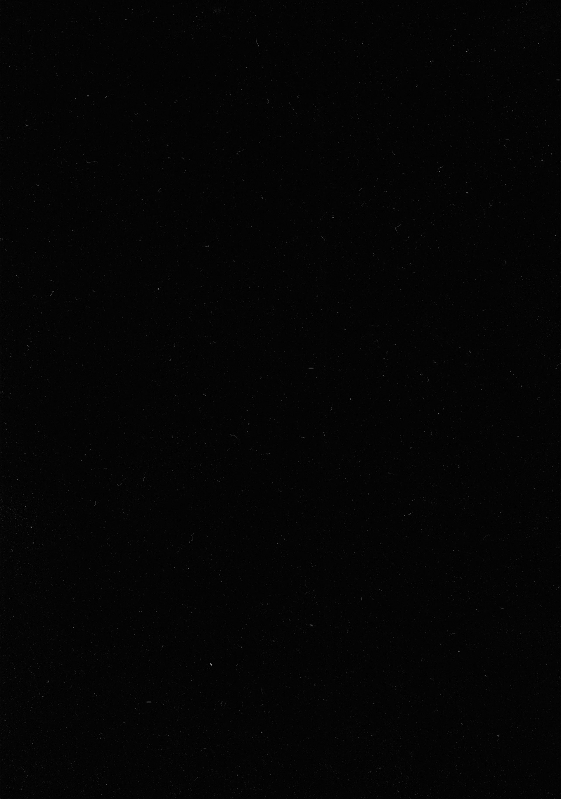 (2)