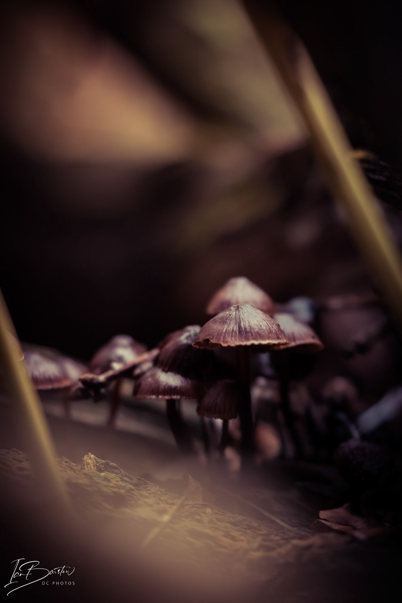 Brankley Pastures - Burton on Trent Monday 28th October 2024