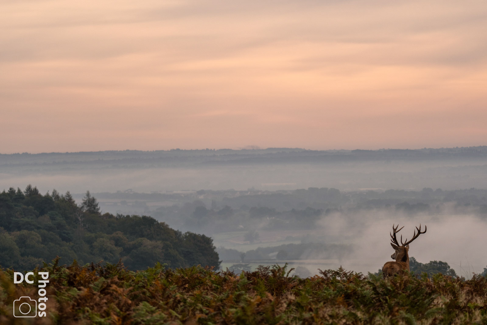Bradgate Park - 16th Oct 23