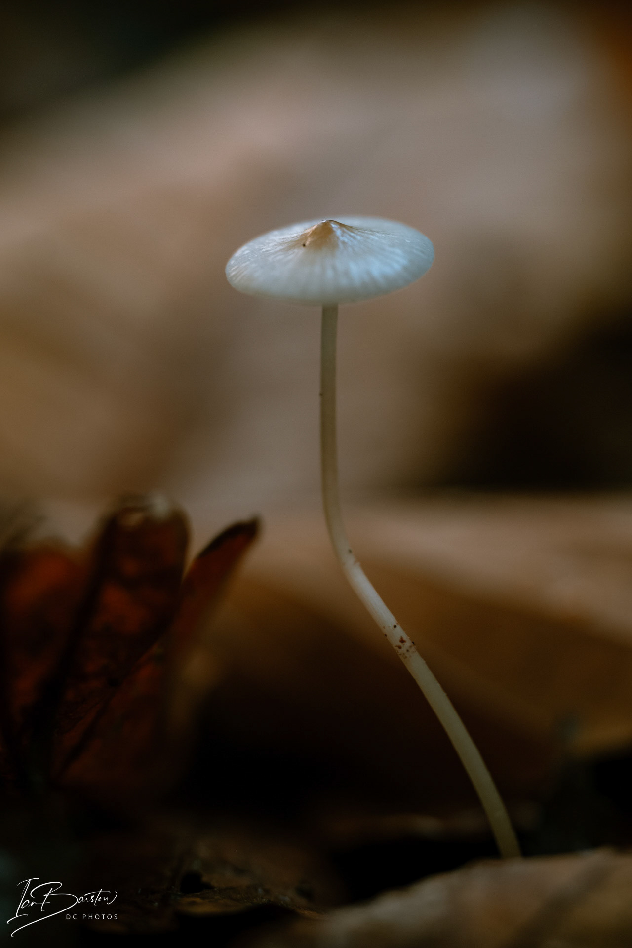 Brankley Pastures - Burton on Trent Monday 28th October 2024