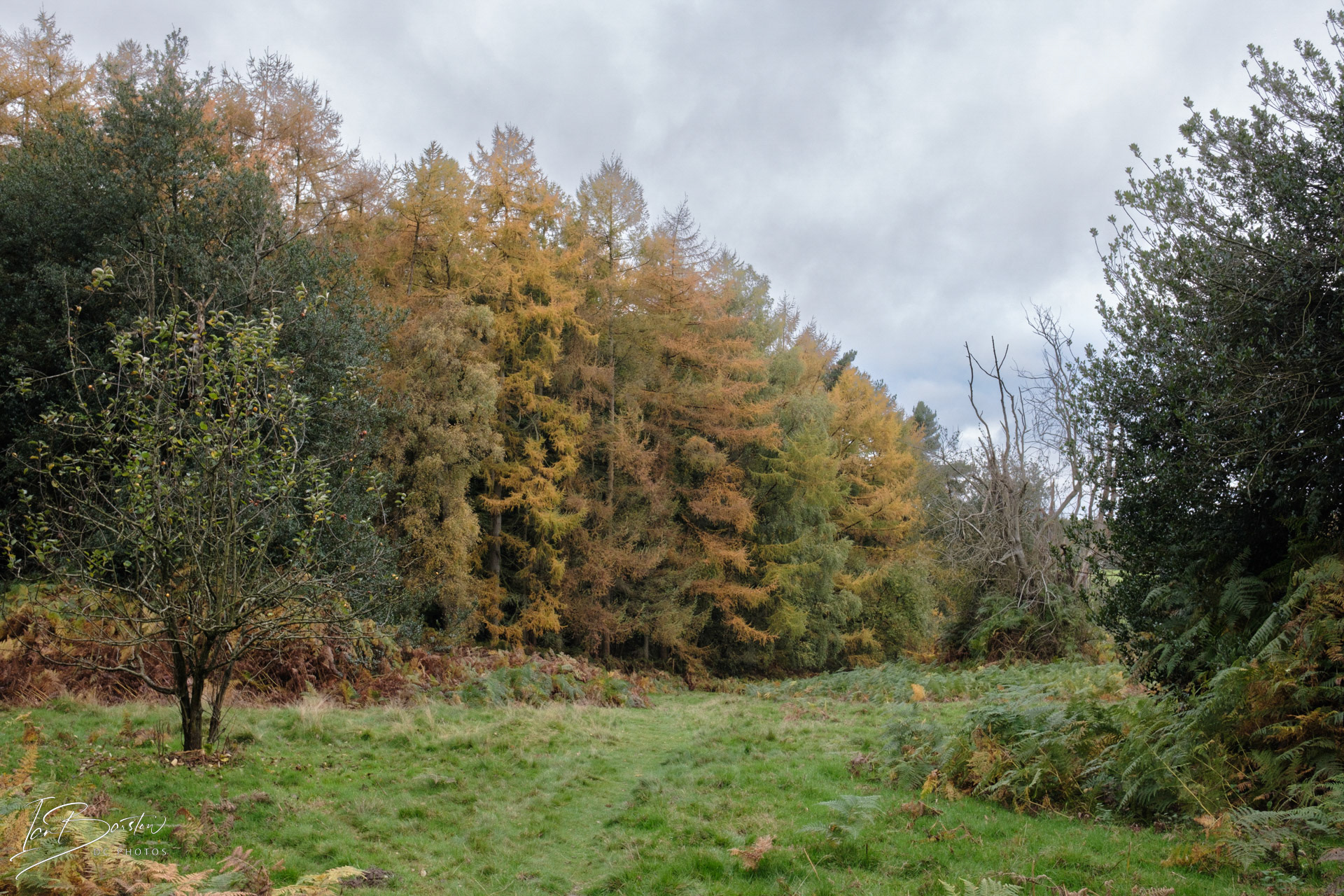 Brankley Pastures - Burton on Trent Monday 28th October 2024