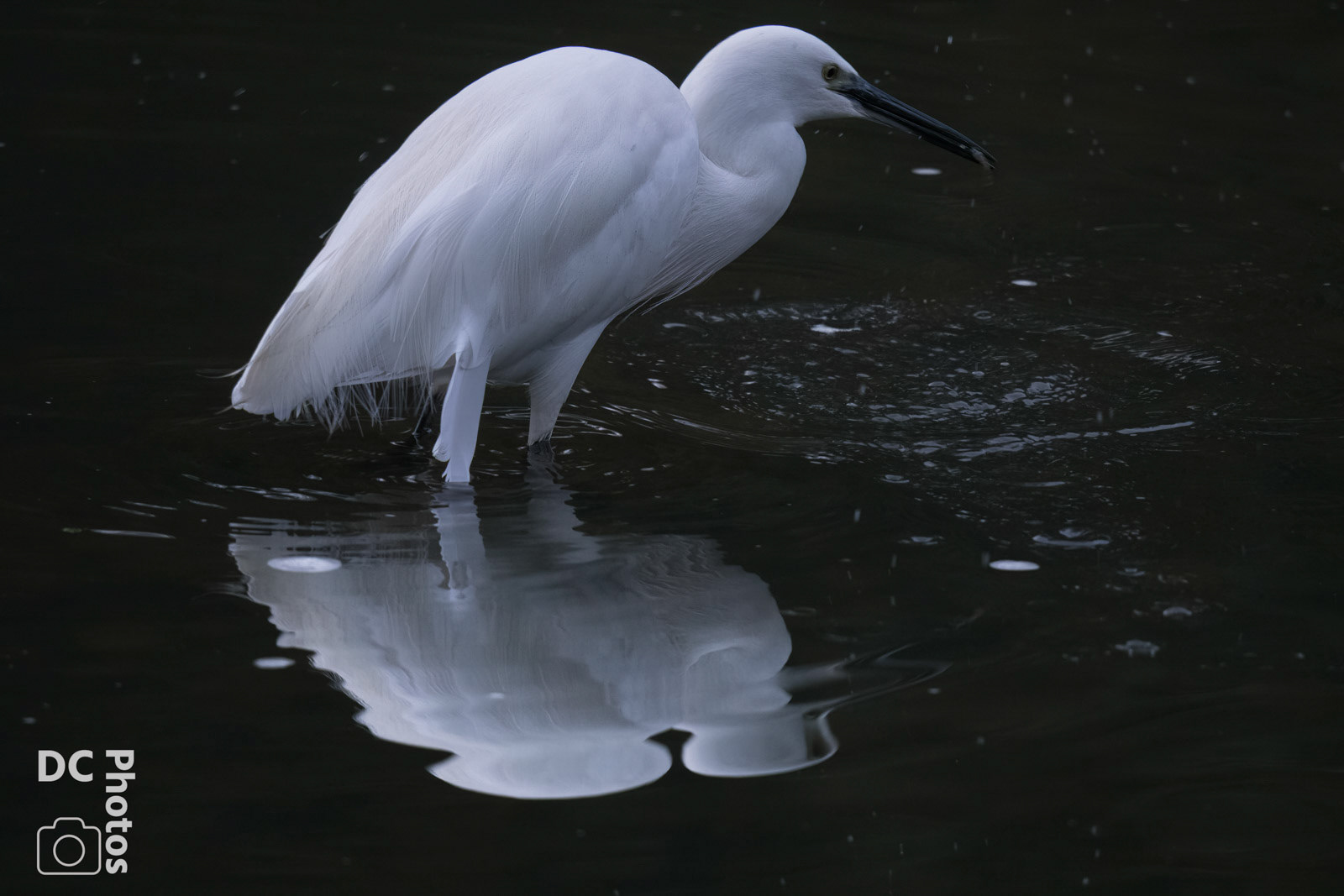 Bradgate Park - 16th Oct 23
