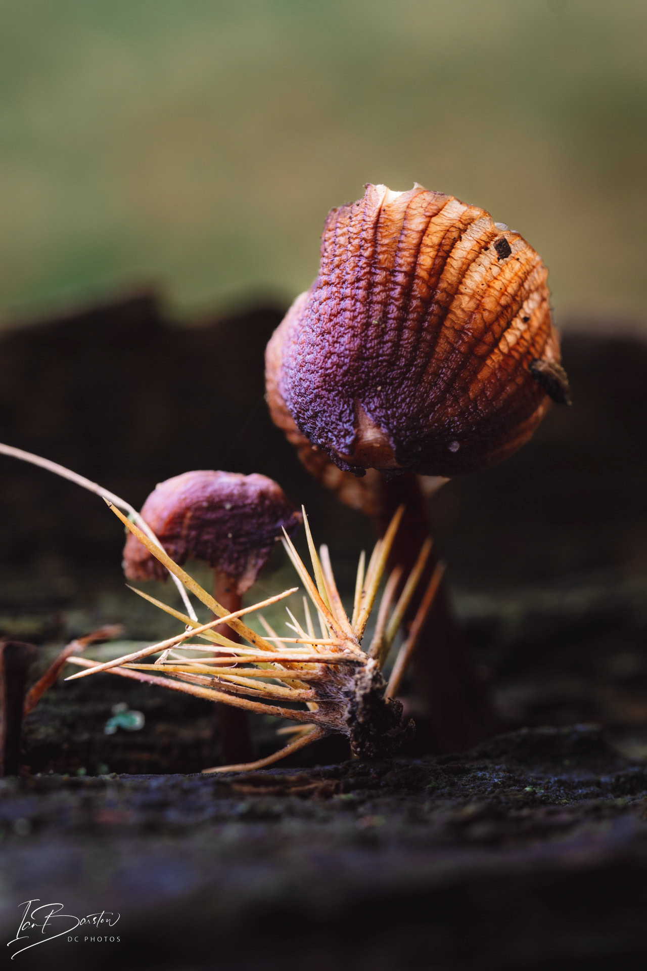 Brankley Pastures - Burton on Trent Monday 28th October 2024