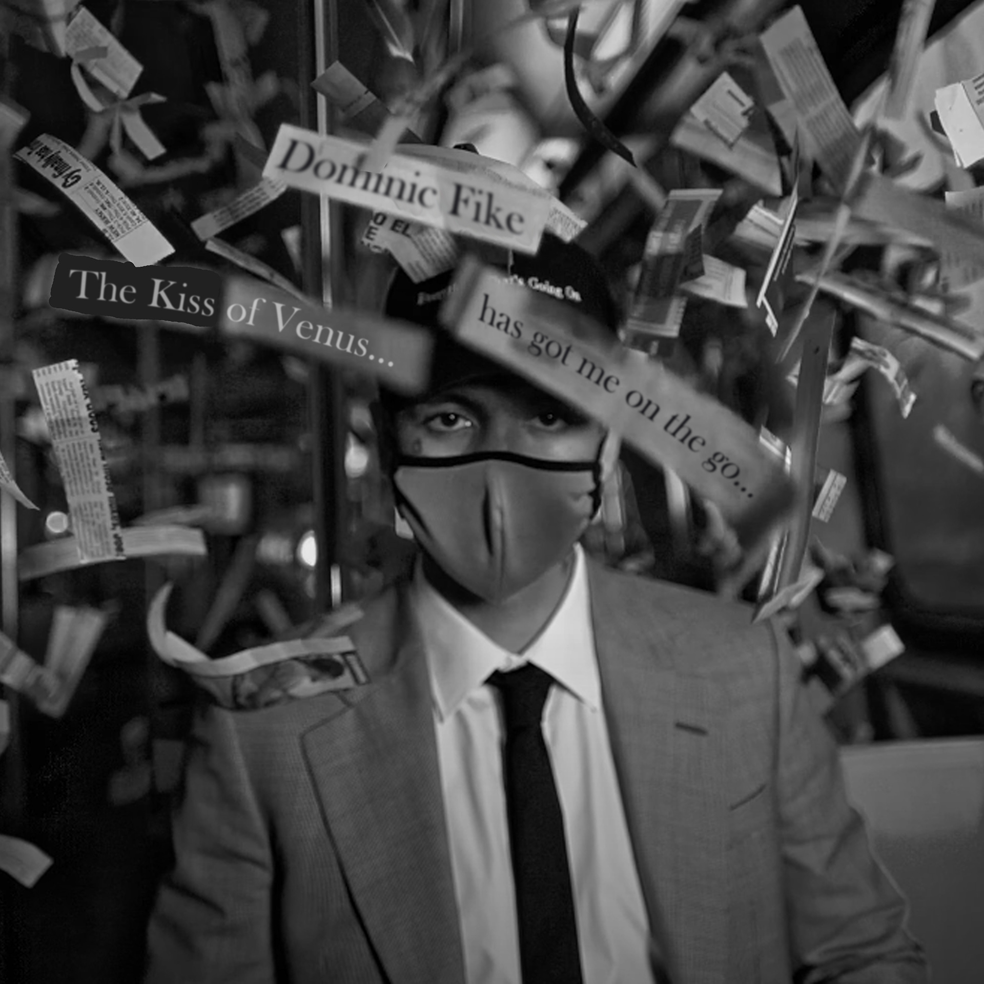 Paul McCartney - The Kiss Of Venus (Dominic Fike Version) | Concept Cover Artwork