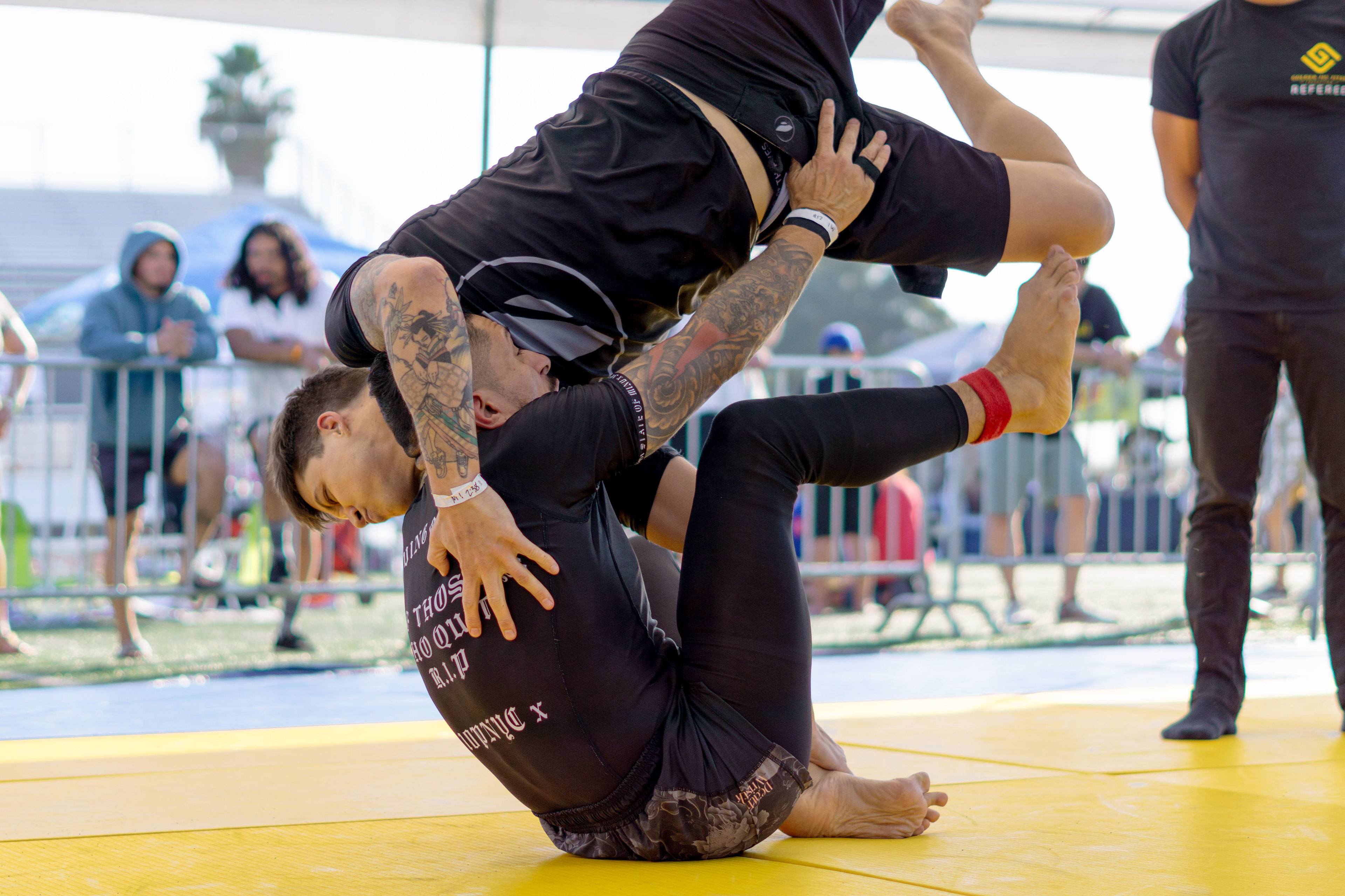 2023, Sony, Digital Photography, Gamble