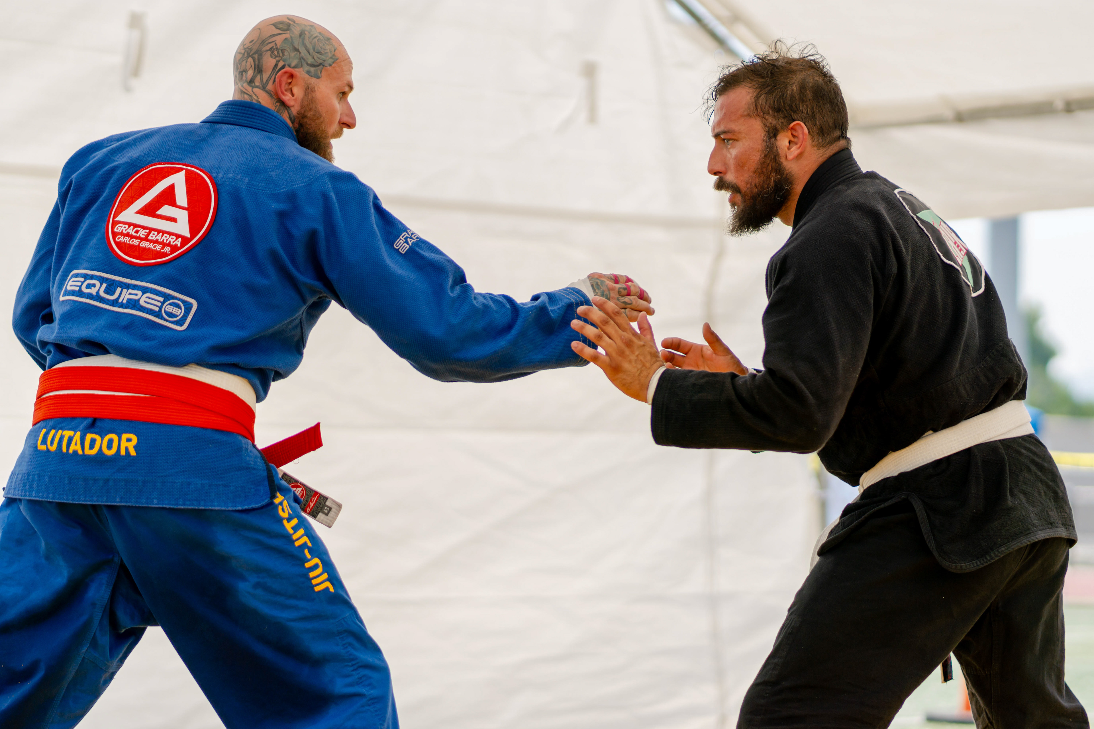 2023, Sony, Digital Photography, Patience