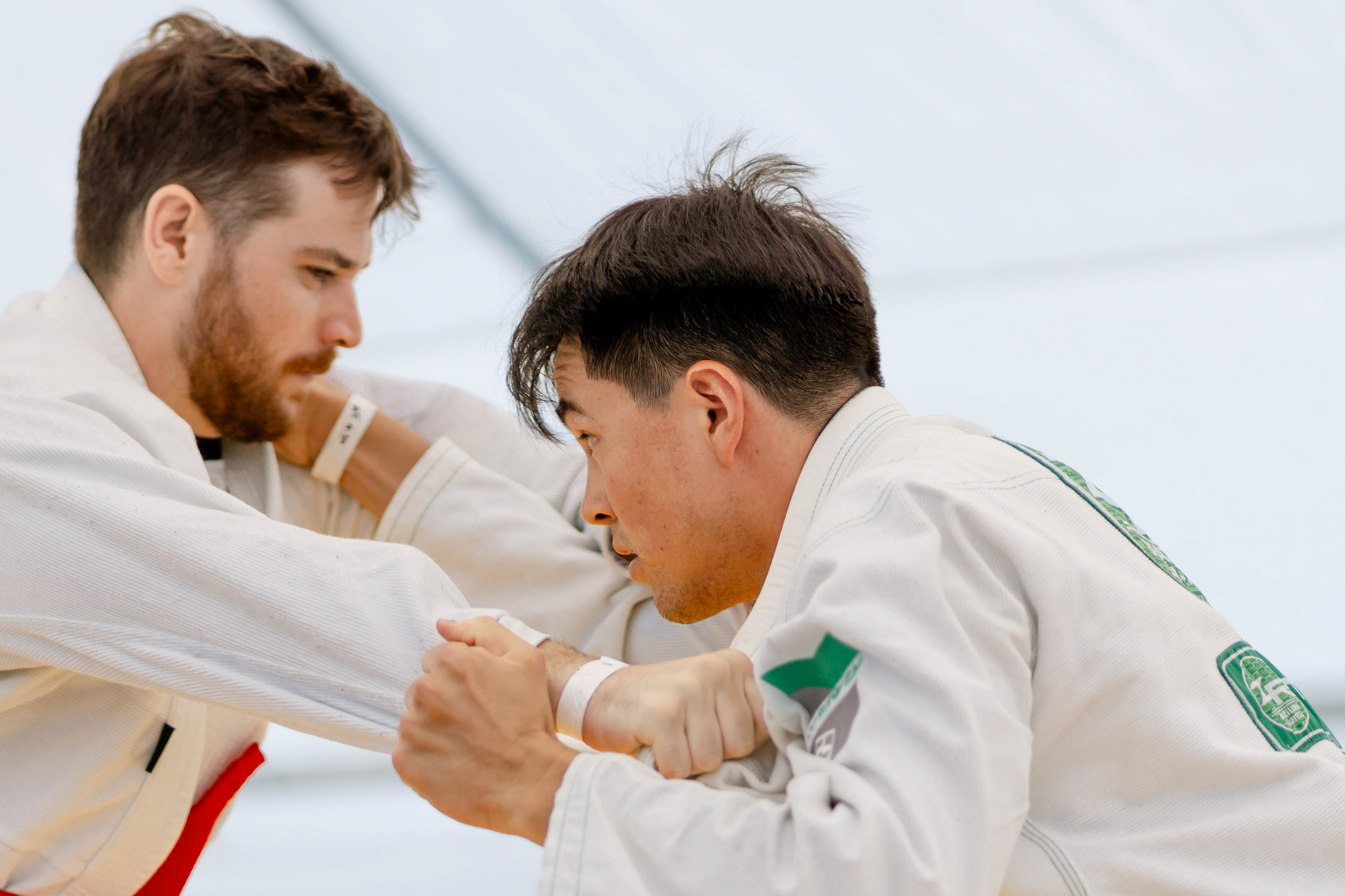 2023, Sony, Digital Photography, Grips