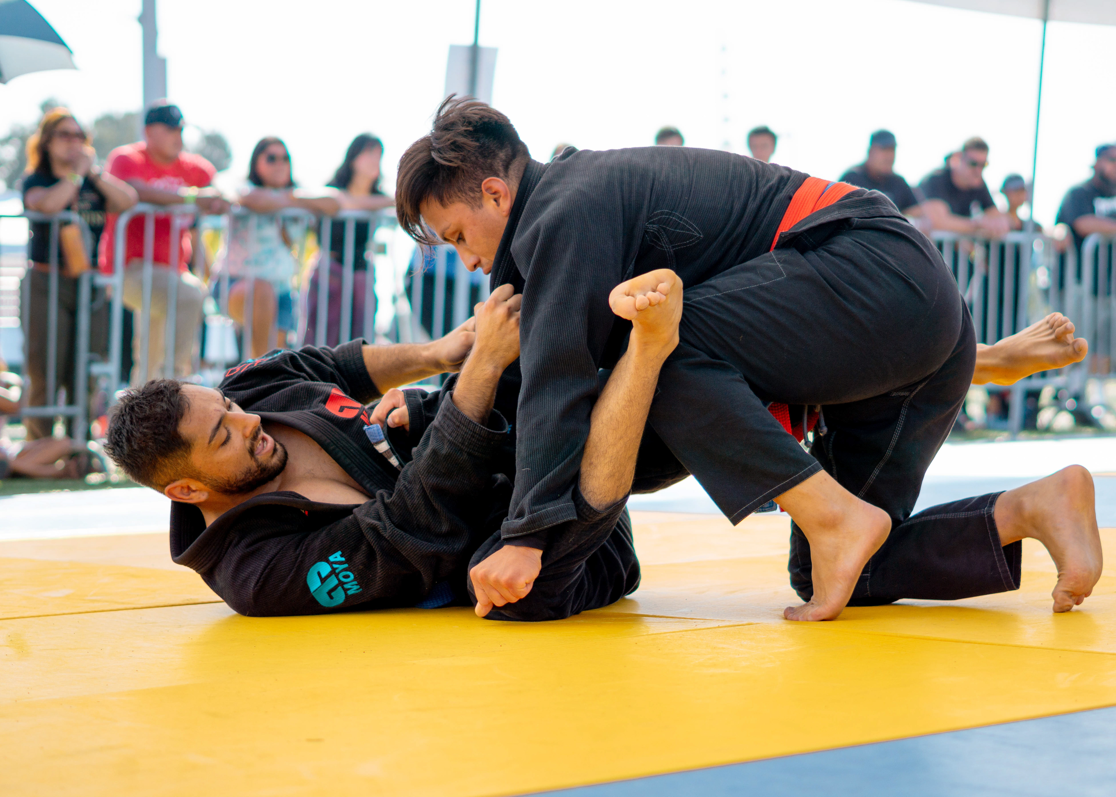 2023, Sony, Digital Photography, Thought