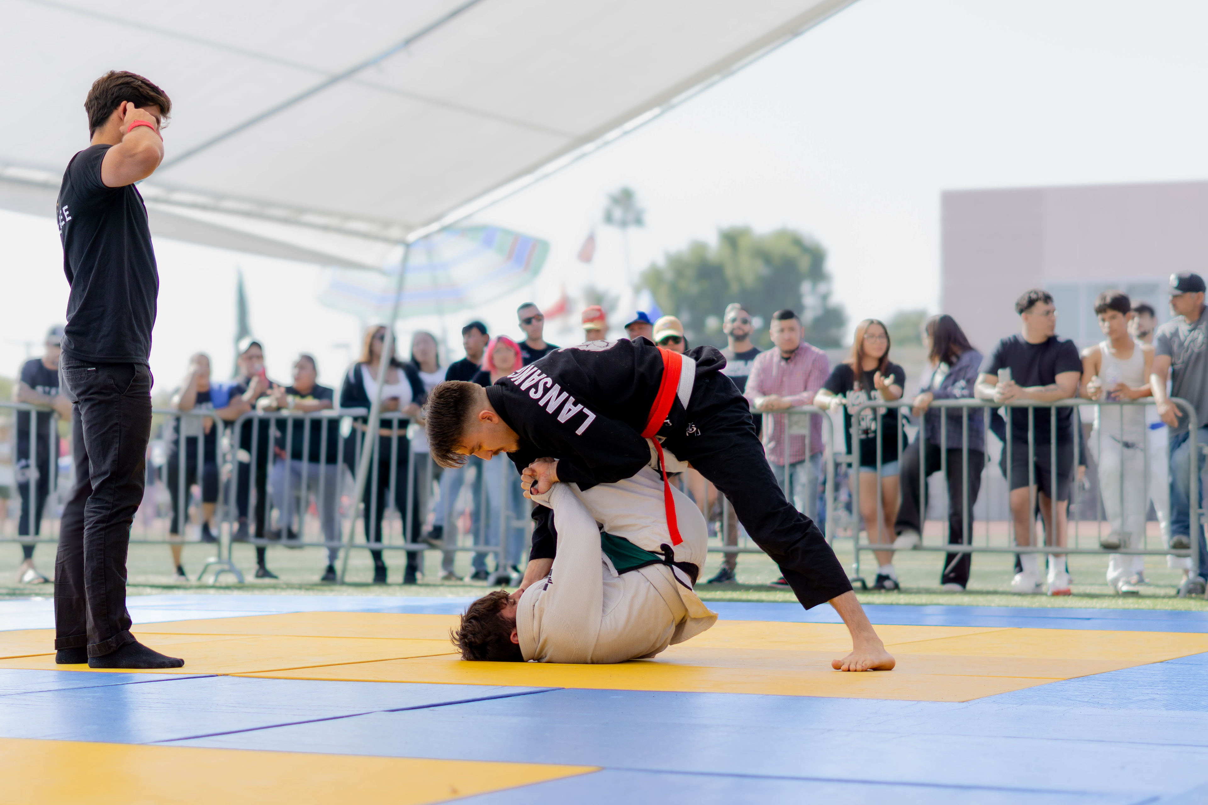 	2023, Sony, Digital Photography, Control