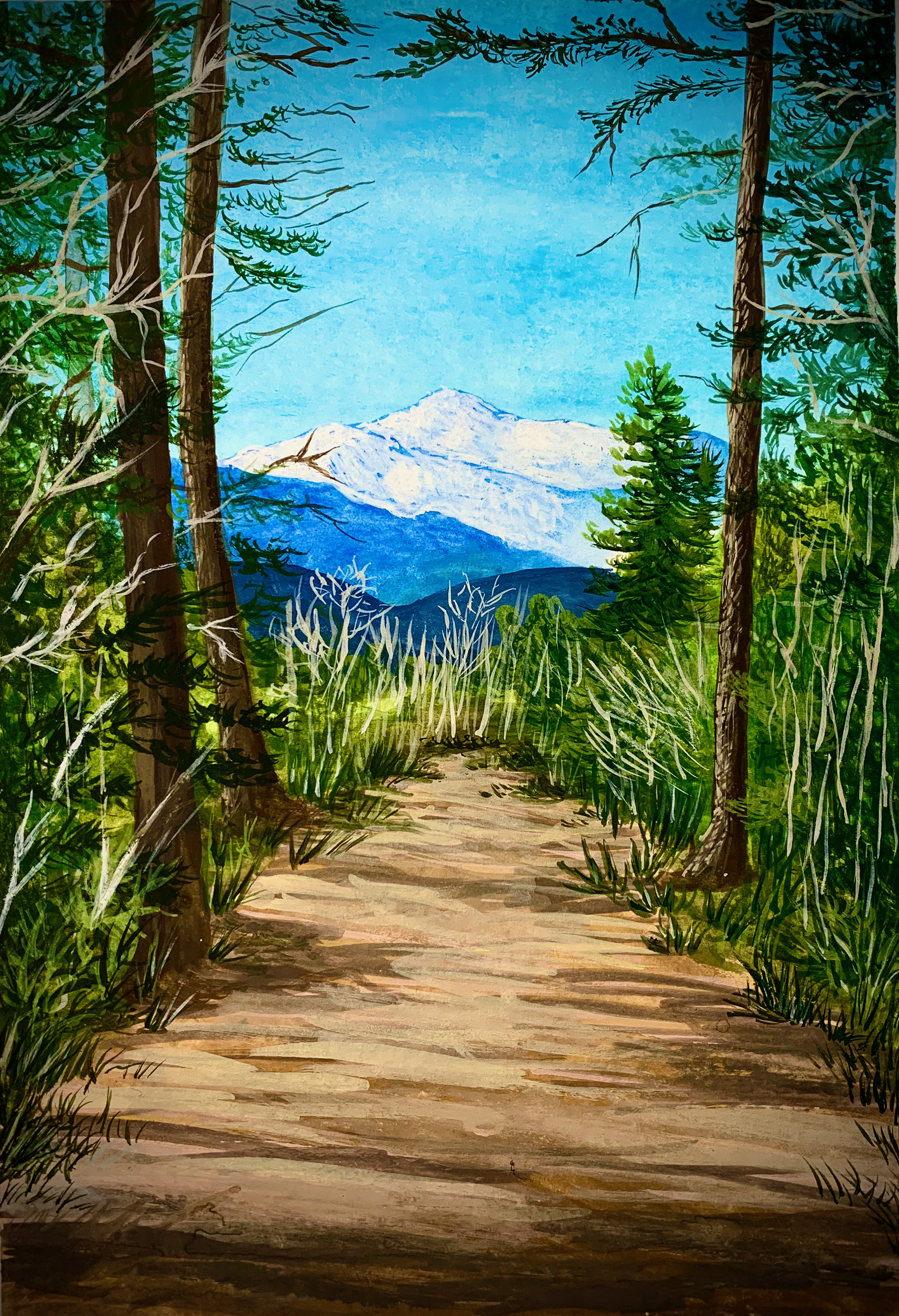 White Mountains / 2020 / 5x10"