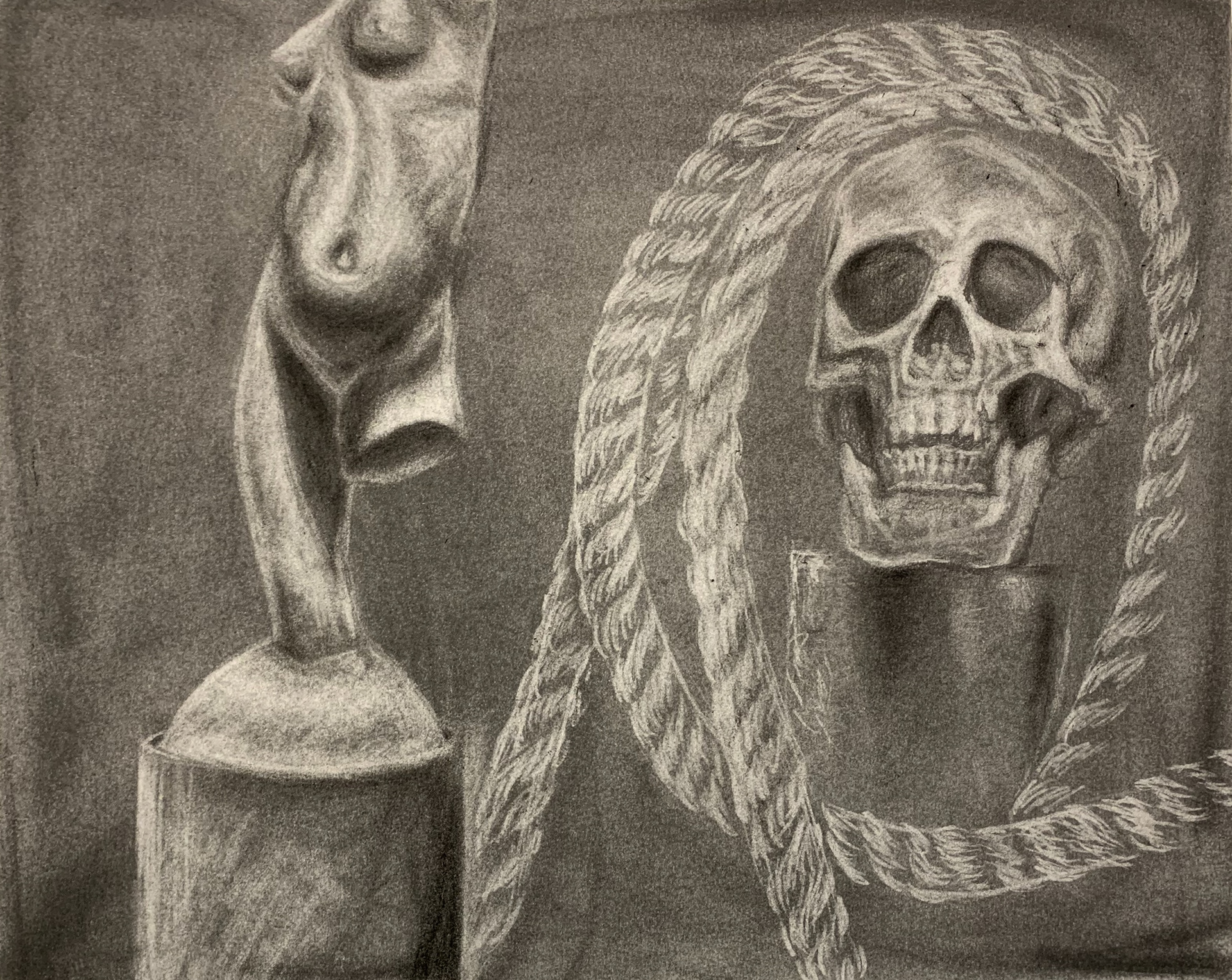 Still Life Study / 2023 / 18x24"