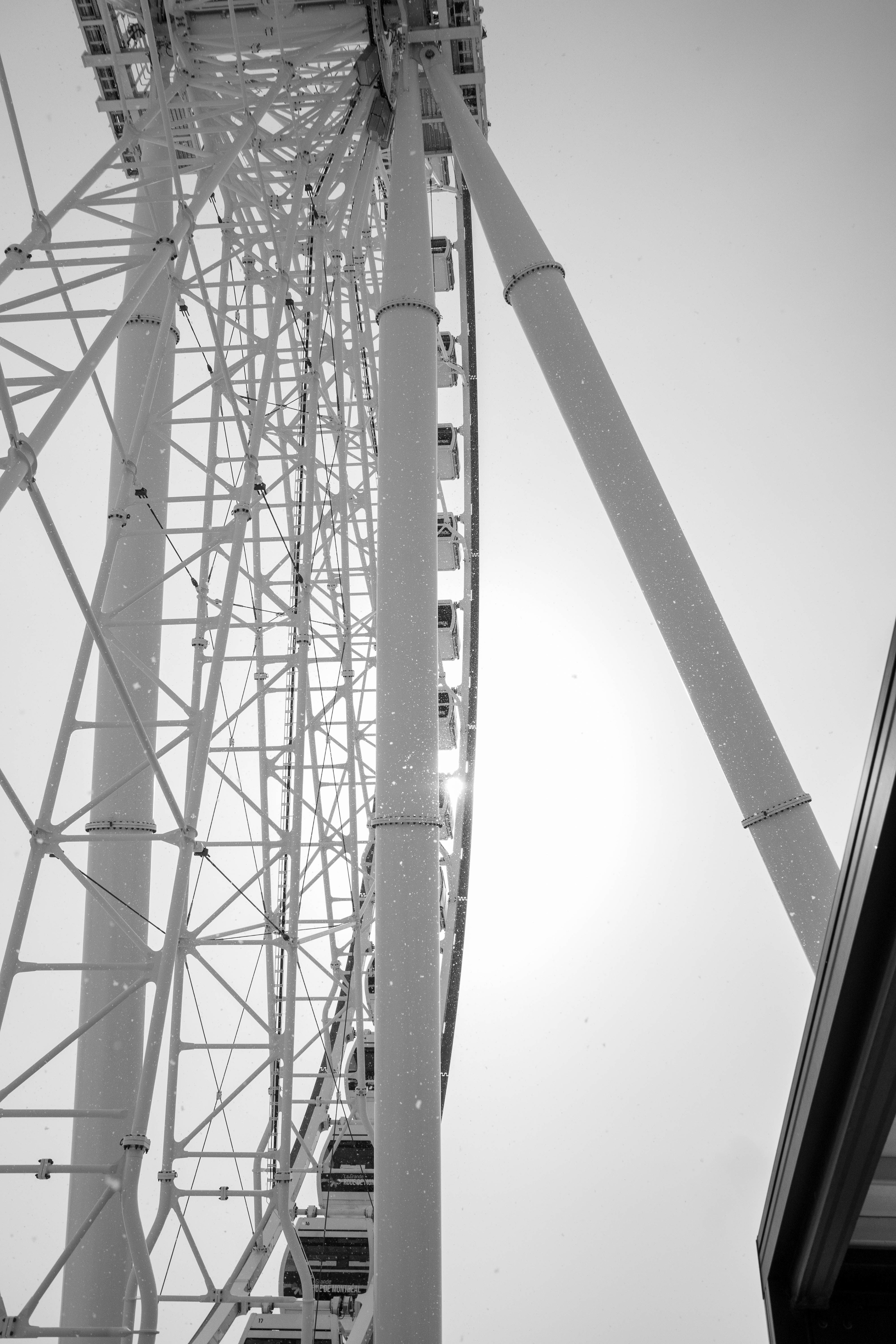 Le Géant Blanc-1