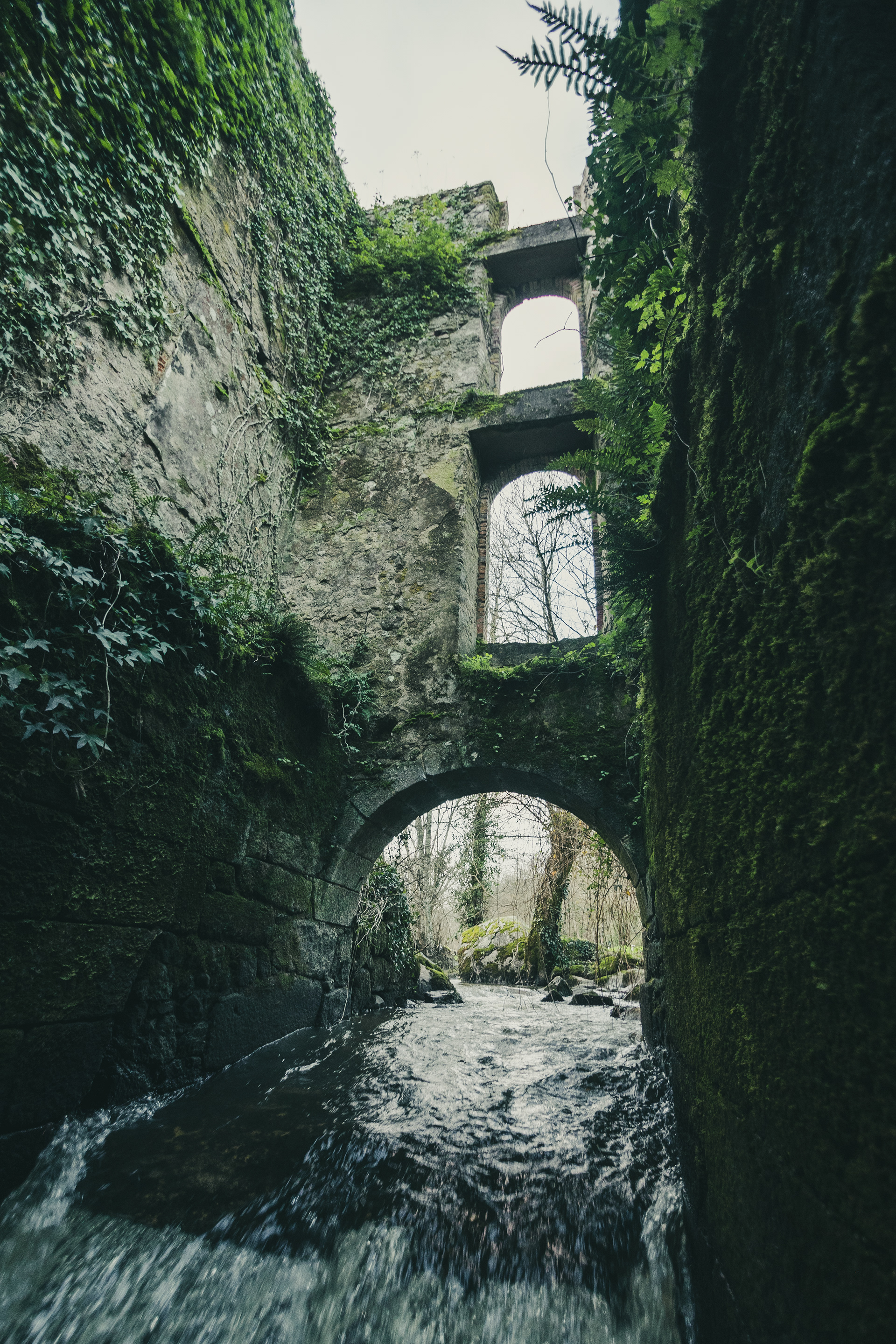 Ruine Anonyme
