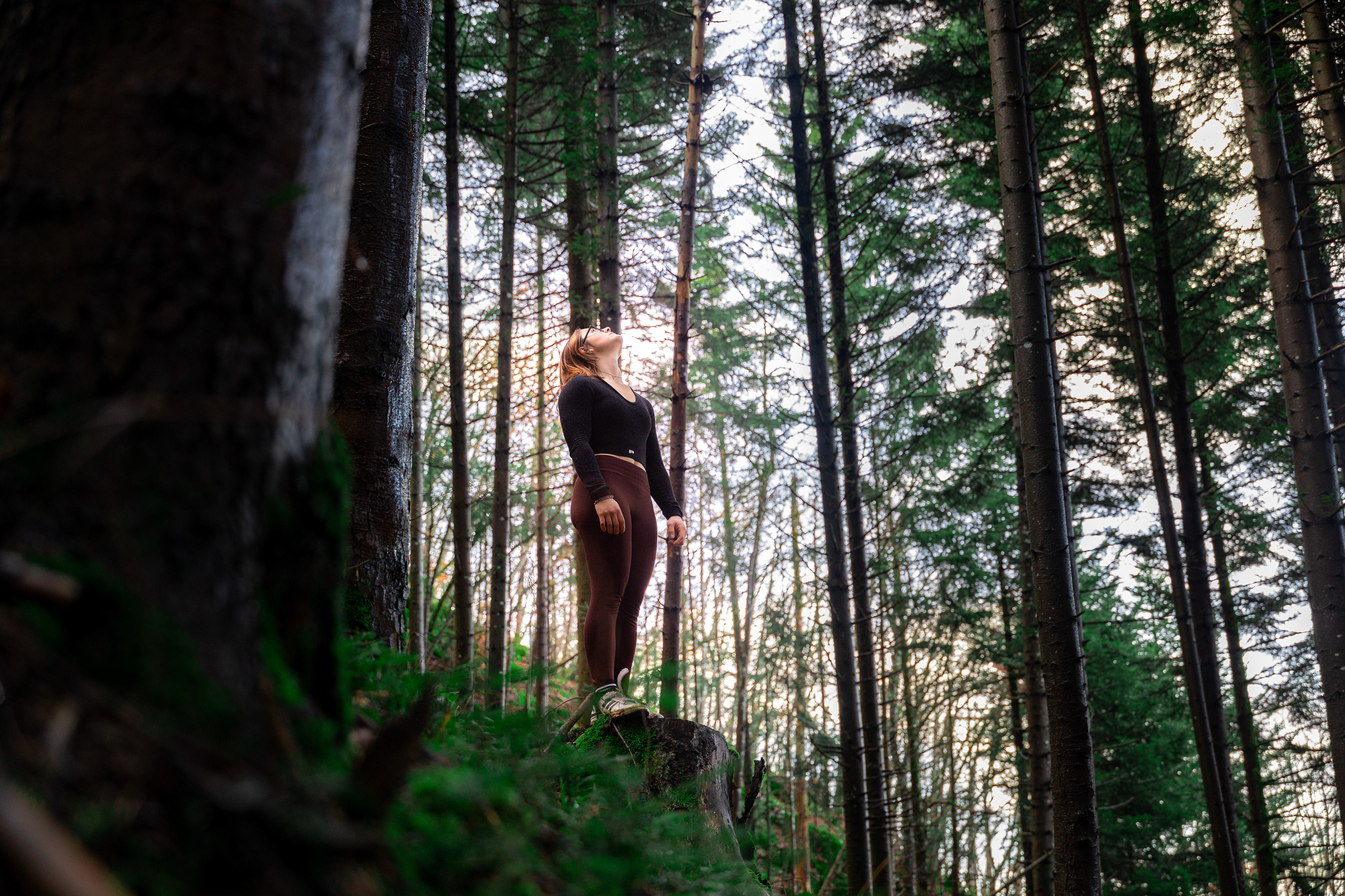 Bain de Forêt