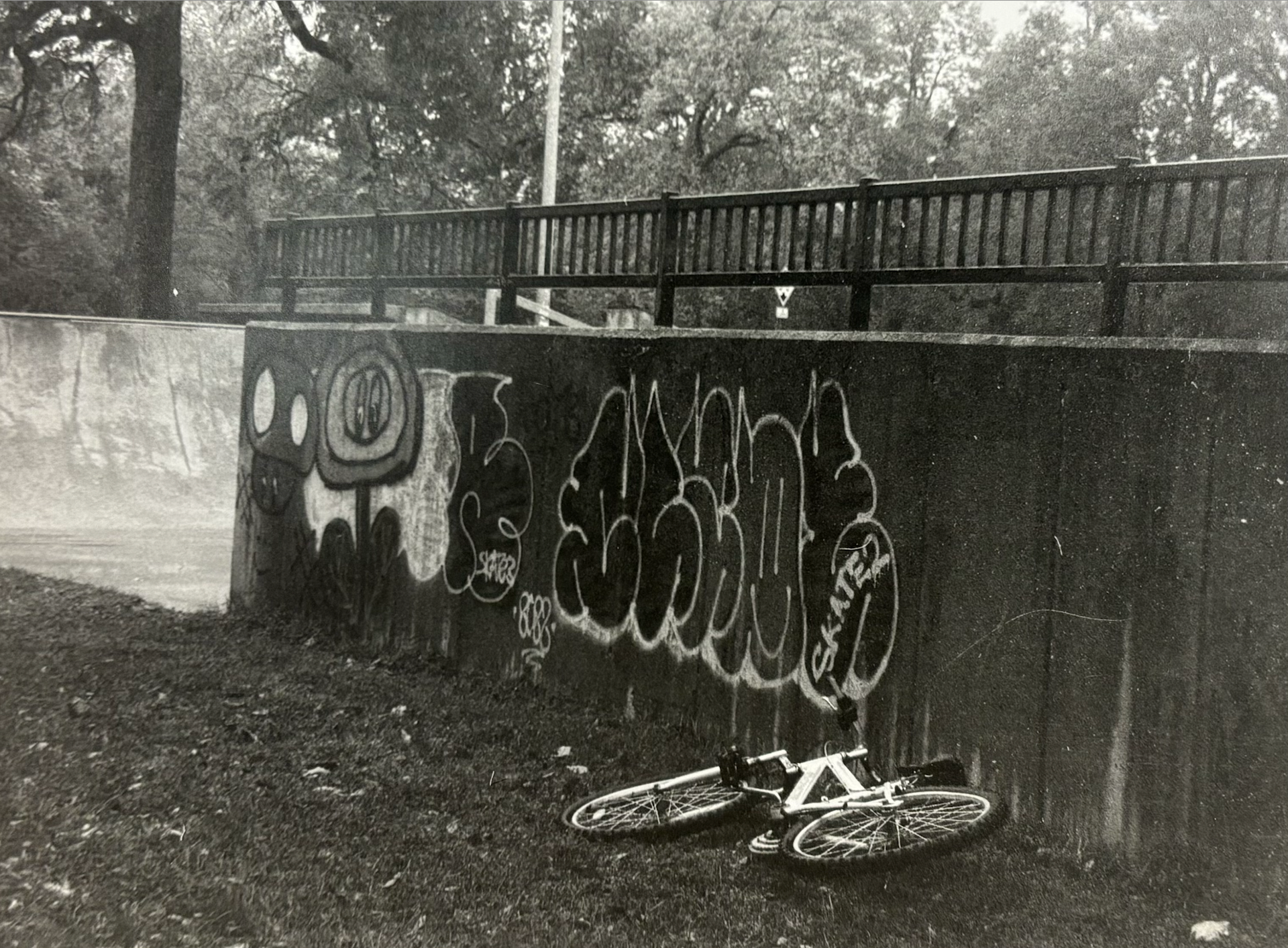 BIKE ON FILM