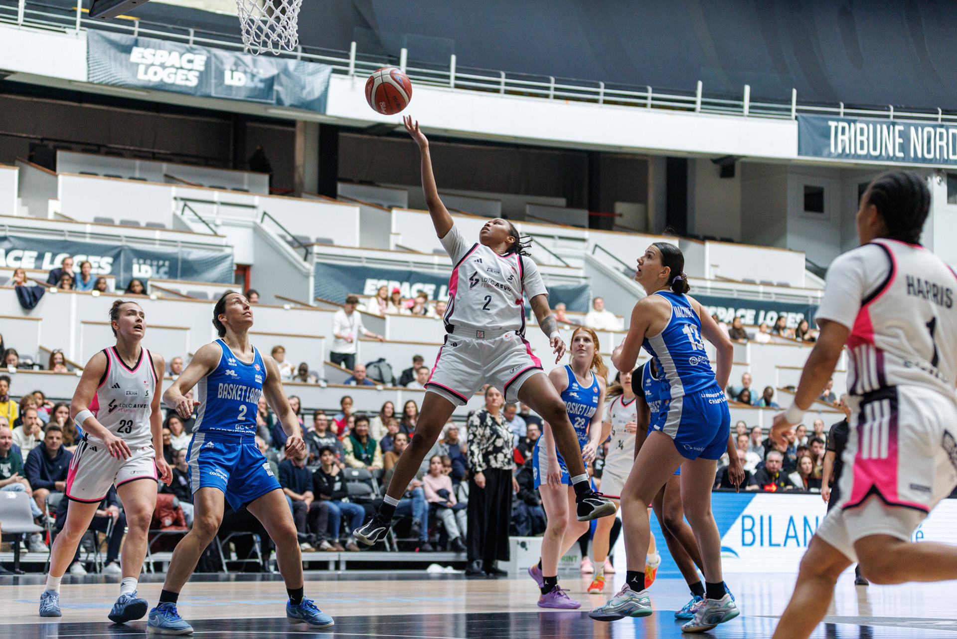 Honesty Scott-Grayson