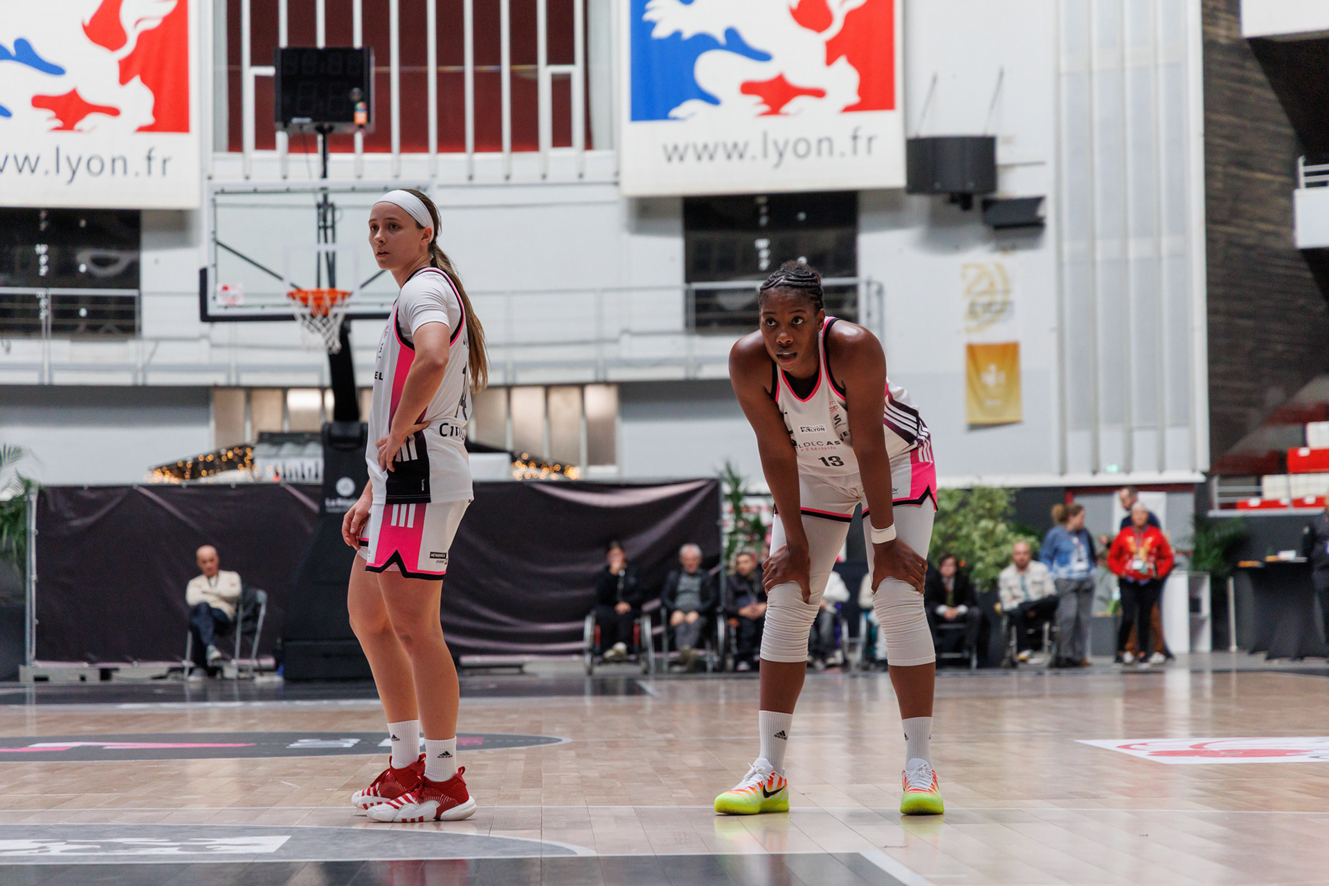 Sara Scalia - Jess-Mine Zodia