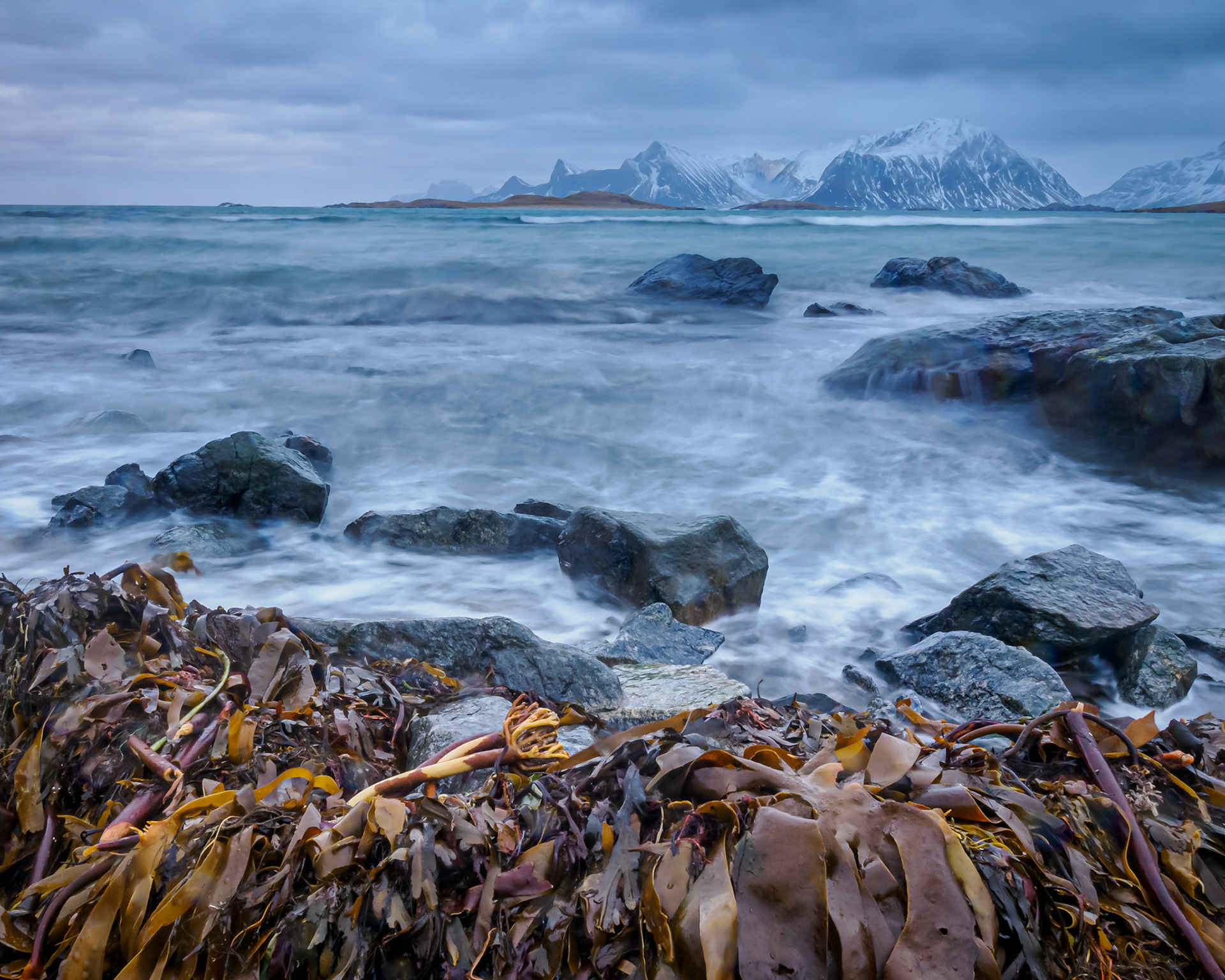 Arctic Coast. - Lofoten, Norway. January 2023