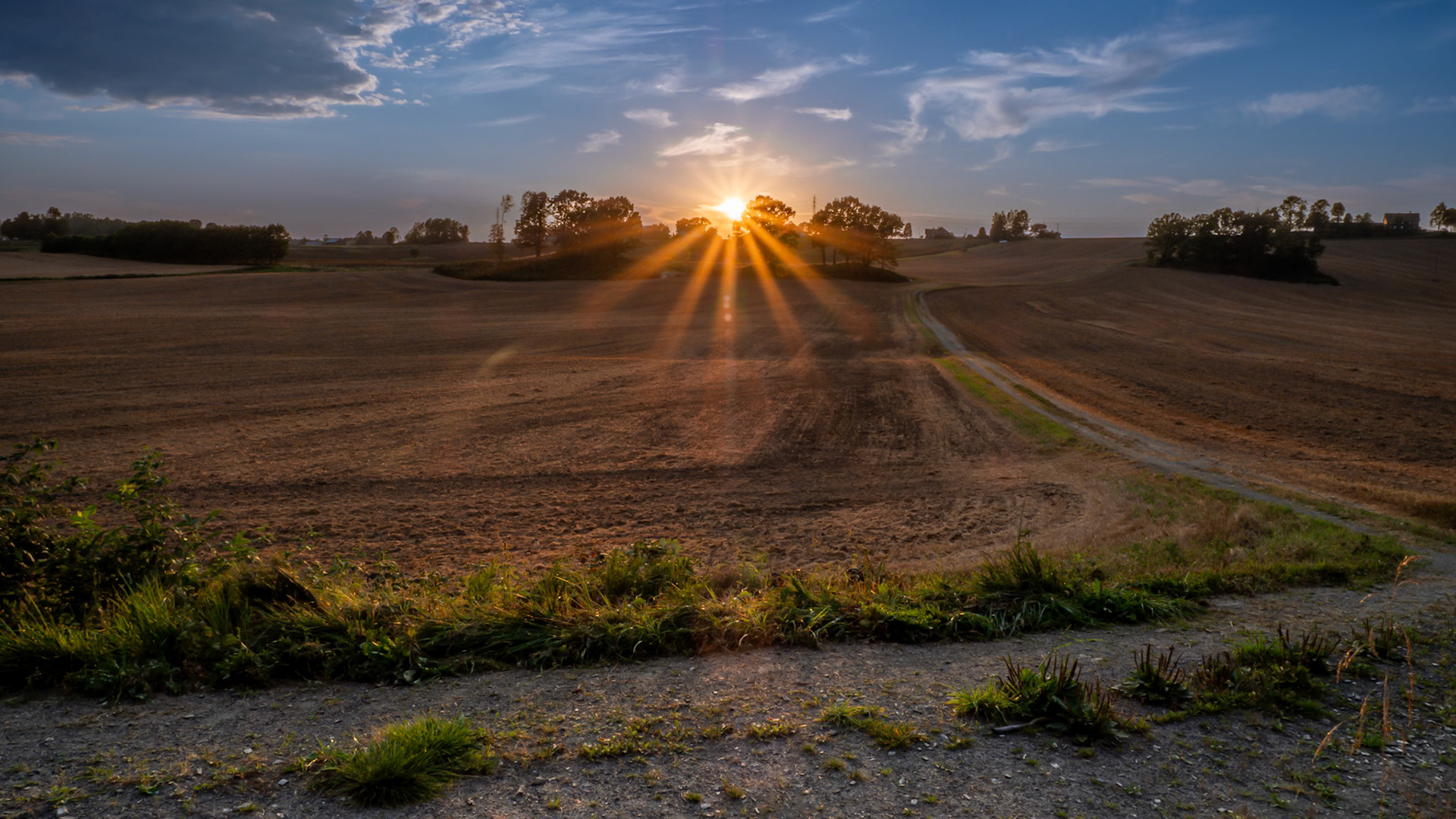 Sunset Field II.  - Frogn, Norway. August 2020