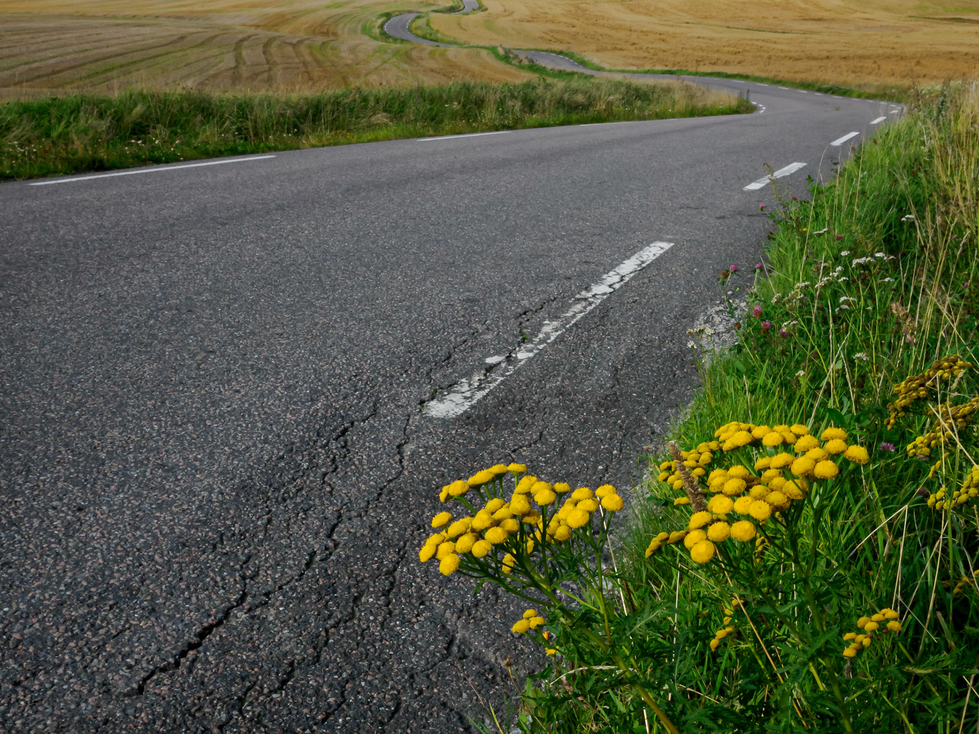 County Road II.  - Vestby, Norway. August 2023