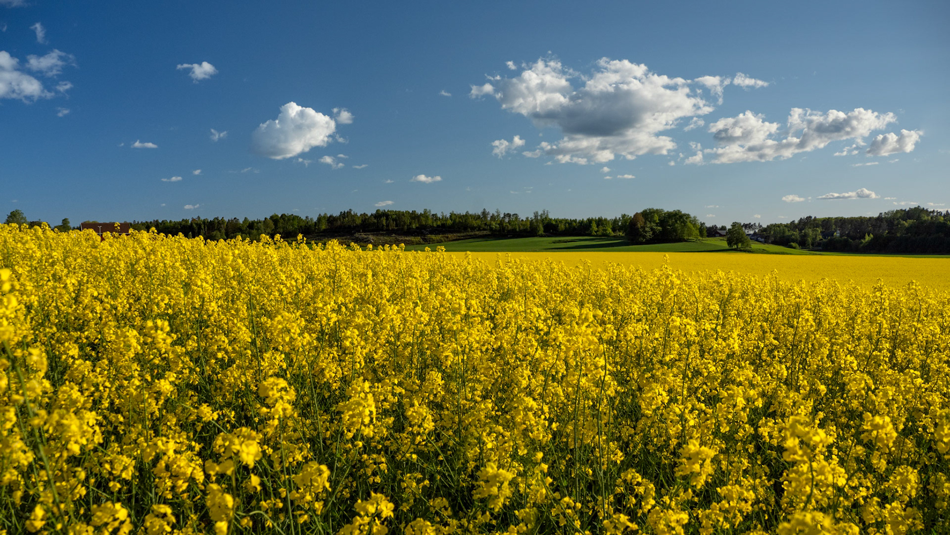 Råde, Norway. May 2022
