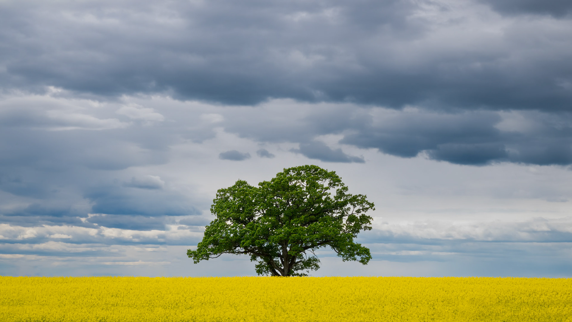 Ås, Norway. May 2022