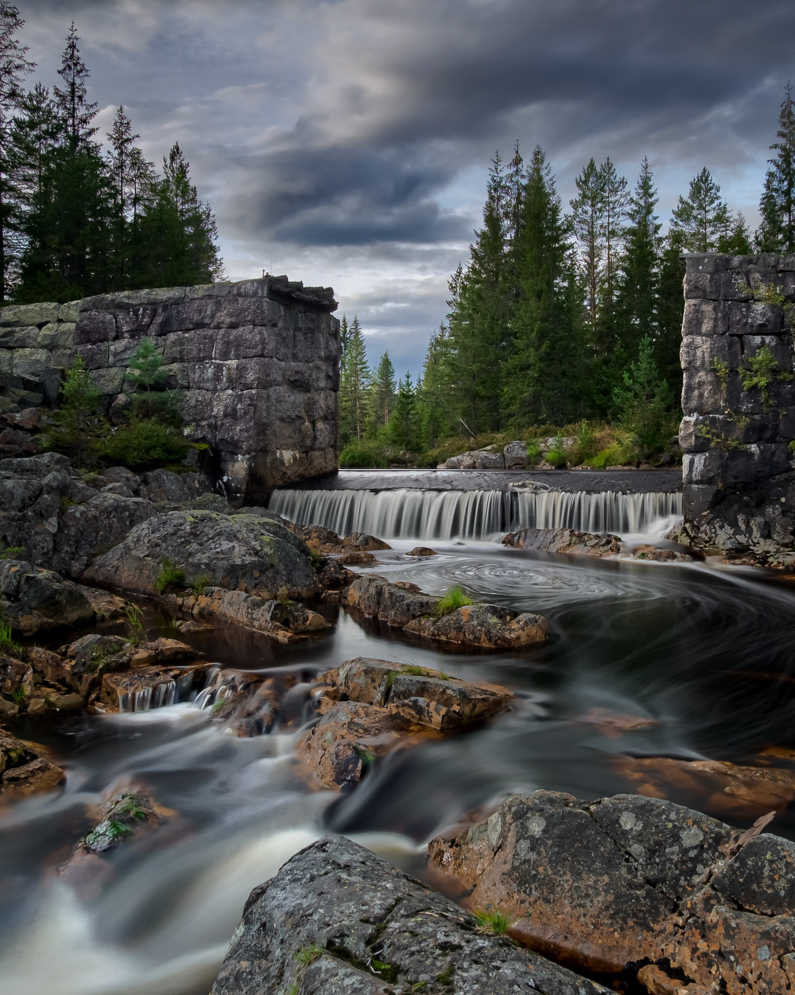 Tamed by Man.  - Telemark, Norway. August 2019