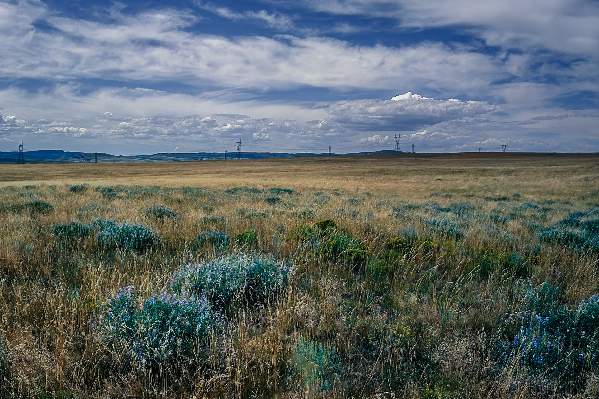 Bluish. - Northern Colorado. August 1995