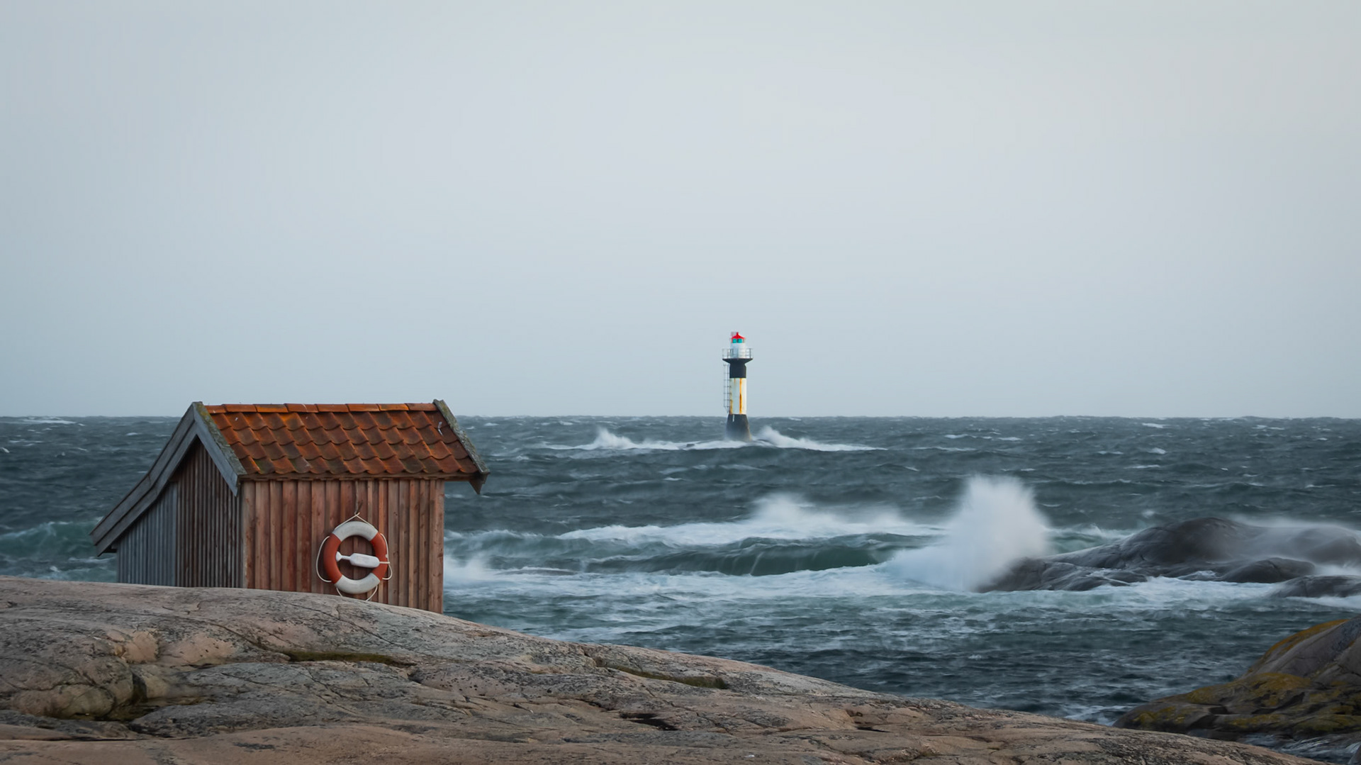 Bohuslän, Sweden.  - August 2025