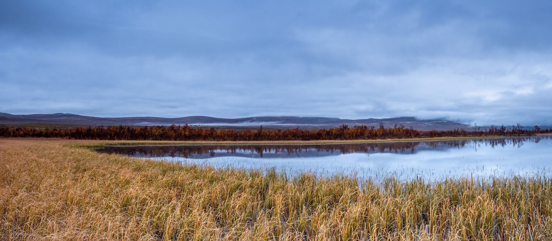 Mountain Wetlands.  - Dovrefjell, Norway. September 2021