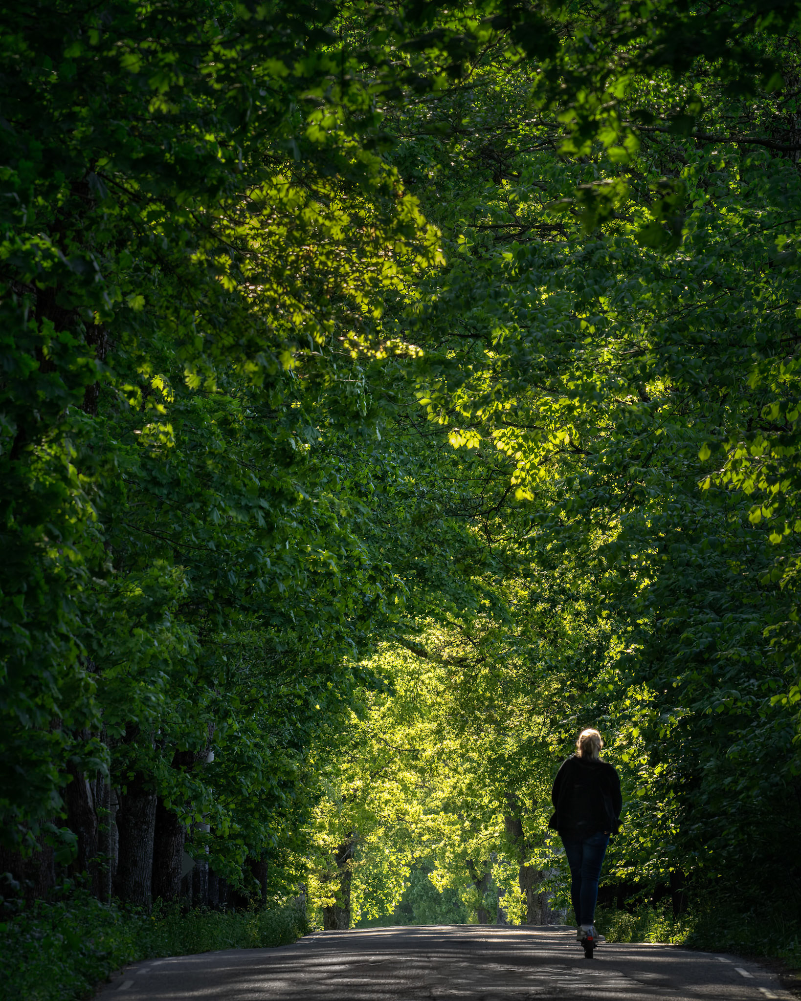 Into the Light.  - Østfold, Norway. May 2022