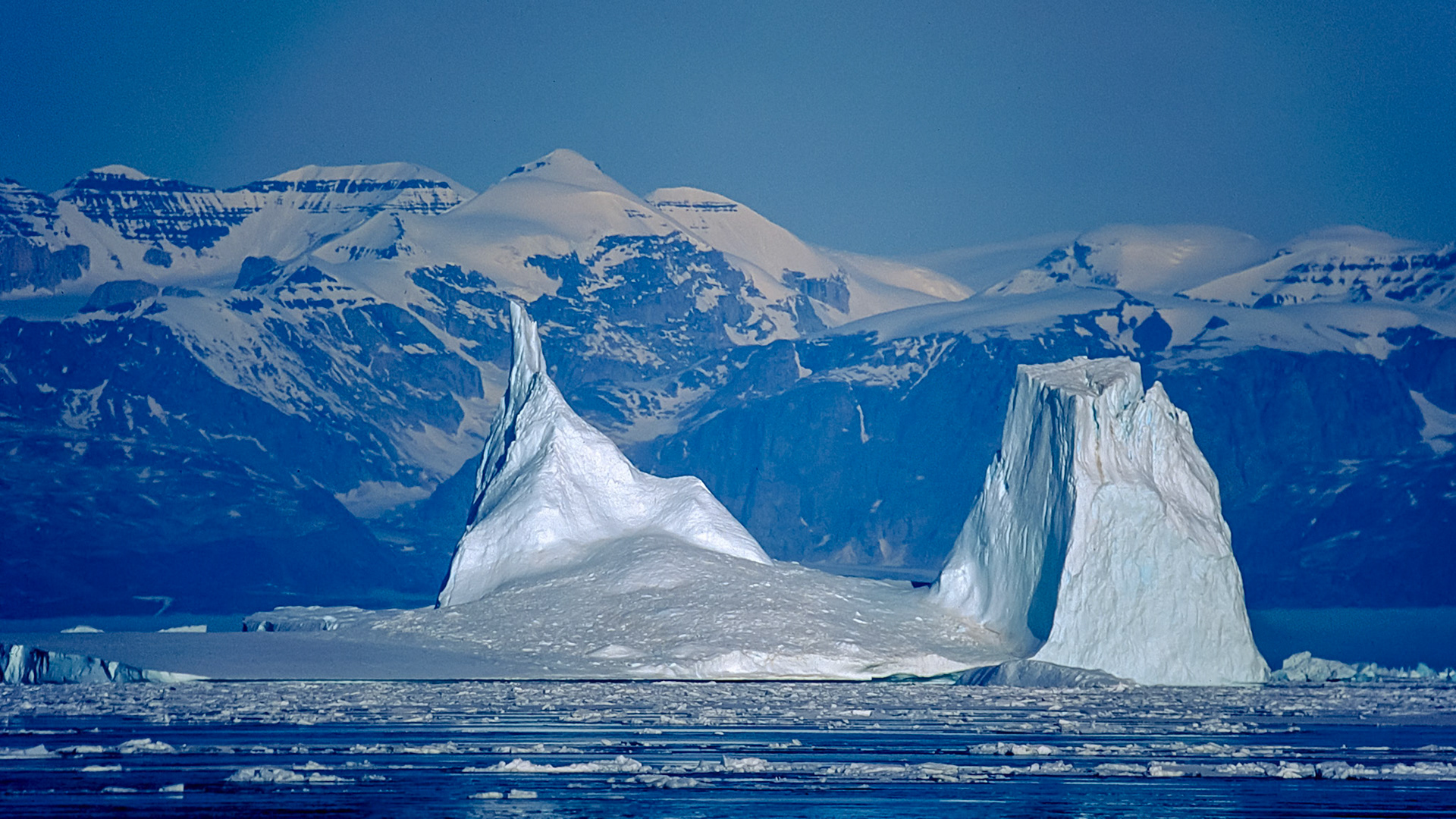 Born by the Glacier II.  - Kangertittivaq, East Greenland. July 1992