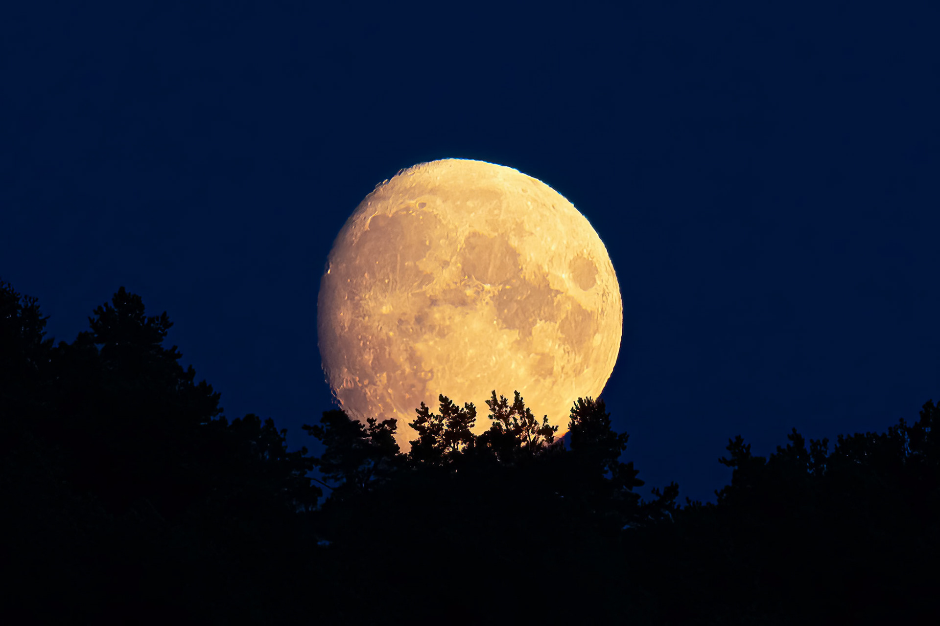 Moonrise II
